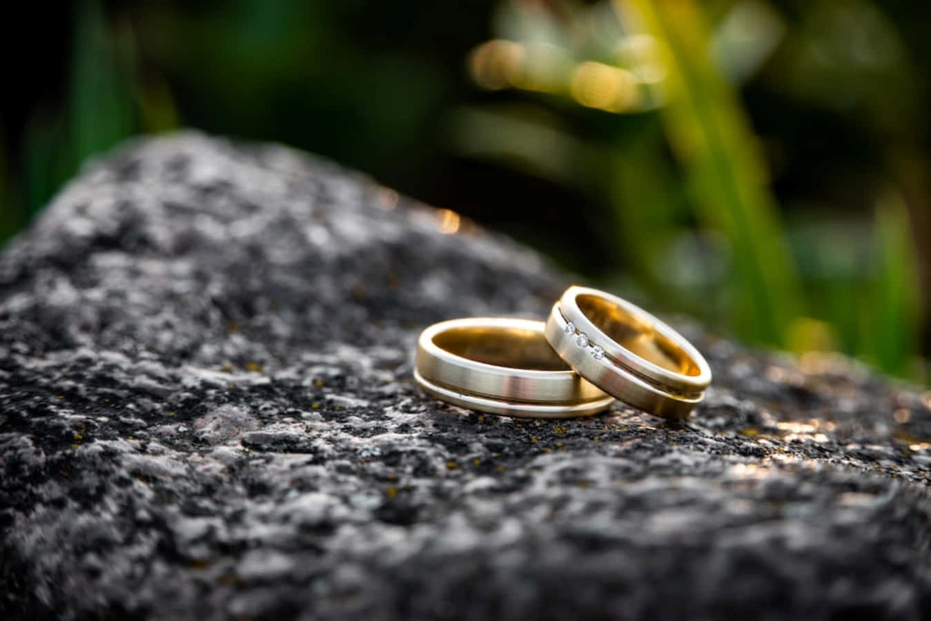 結婚戒指 桌布 壁紙 — 兩枚結婚戒指放在一塊有紋理的灰色岩石上，背景是模糊的綠色樹葉和金色的陽光。