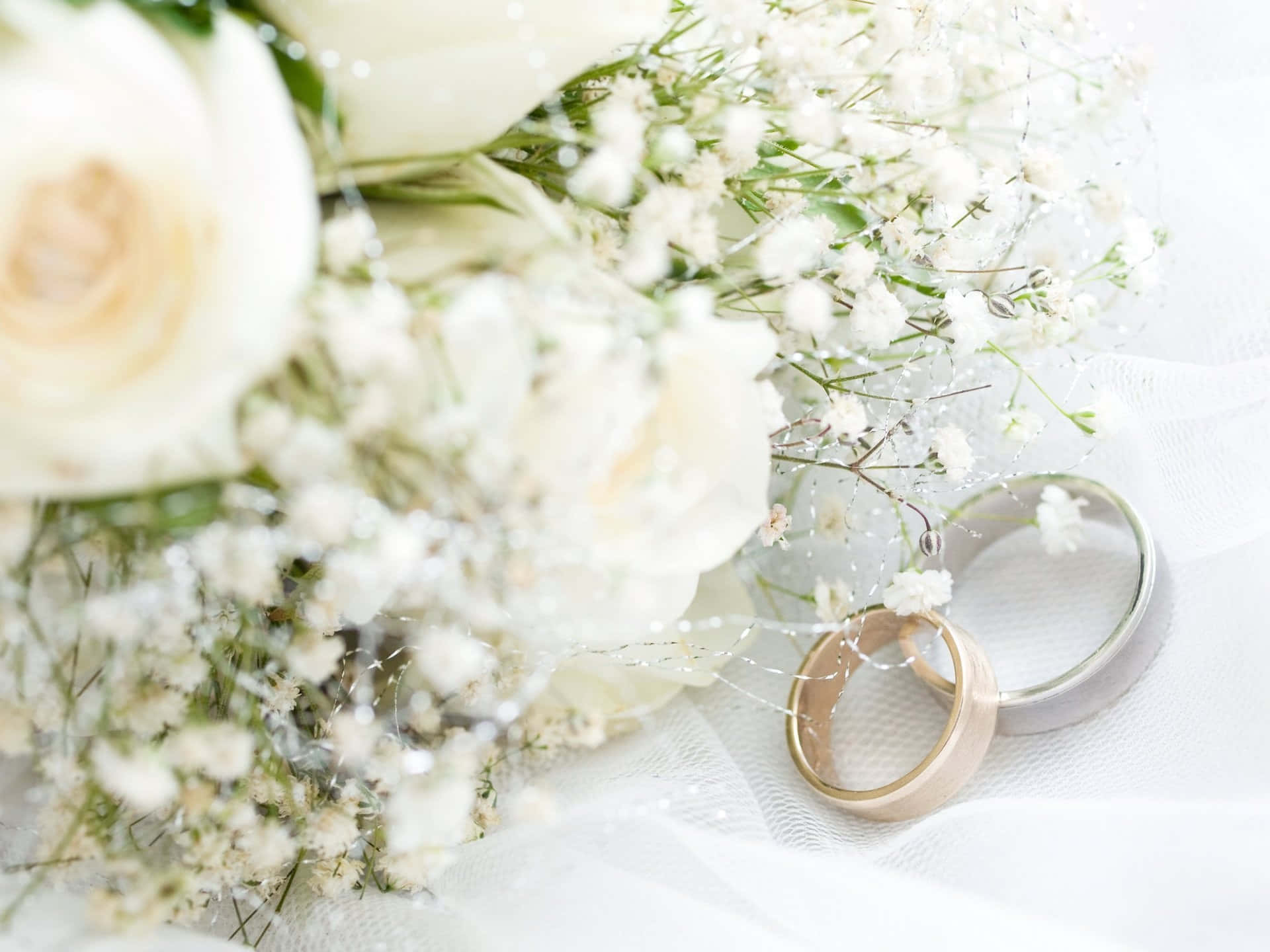 結婚戒指 桌布 壁紙 — 兩枚結婚戒指放在柔軟的白色布料上，旁邊是一束白玫瑰和滿天星。