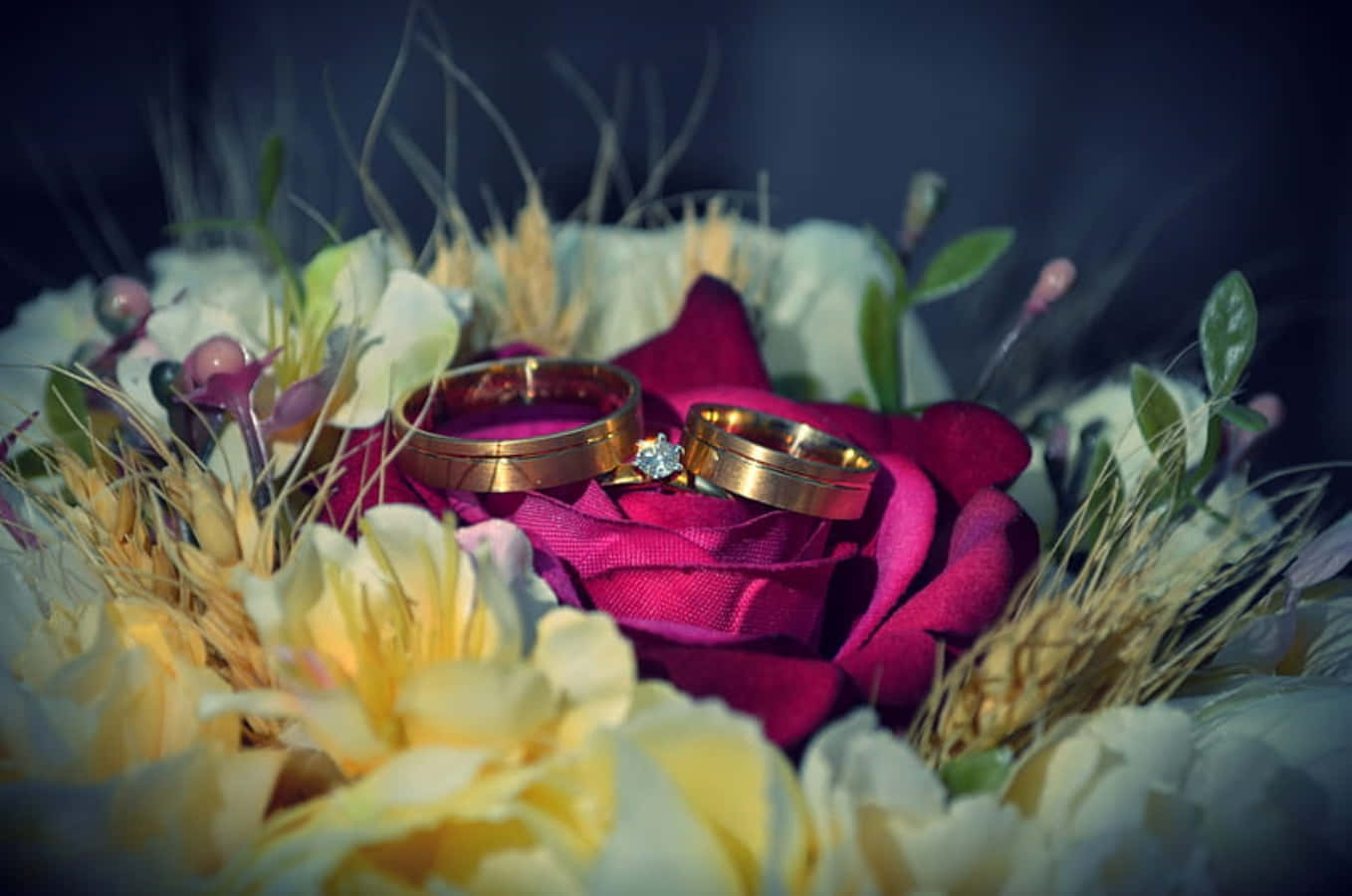 Wedding Ring 桌布 壁紙 — 兩枚金婚戒放在一朵深紫紅玫瑰上，周圍環繞著黃色花朵和麥穗。