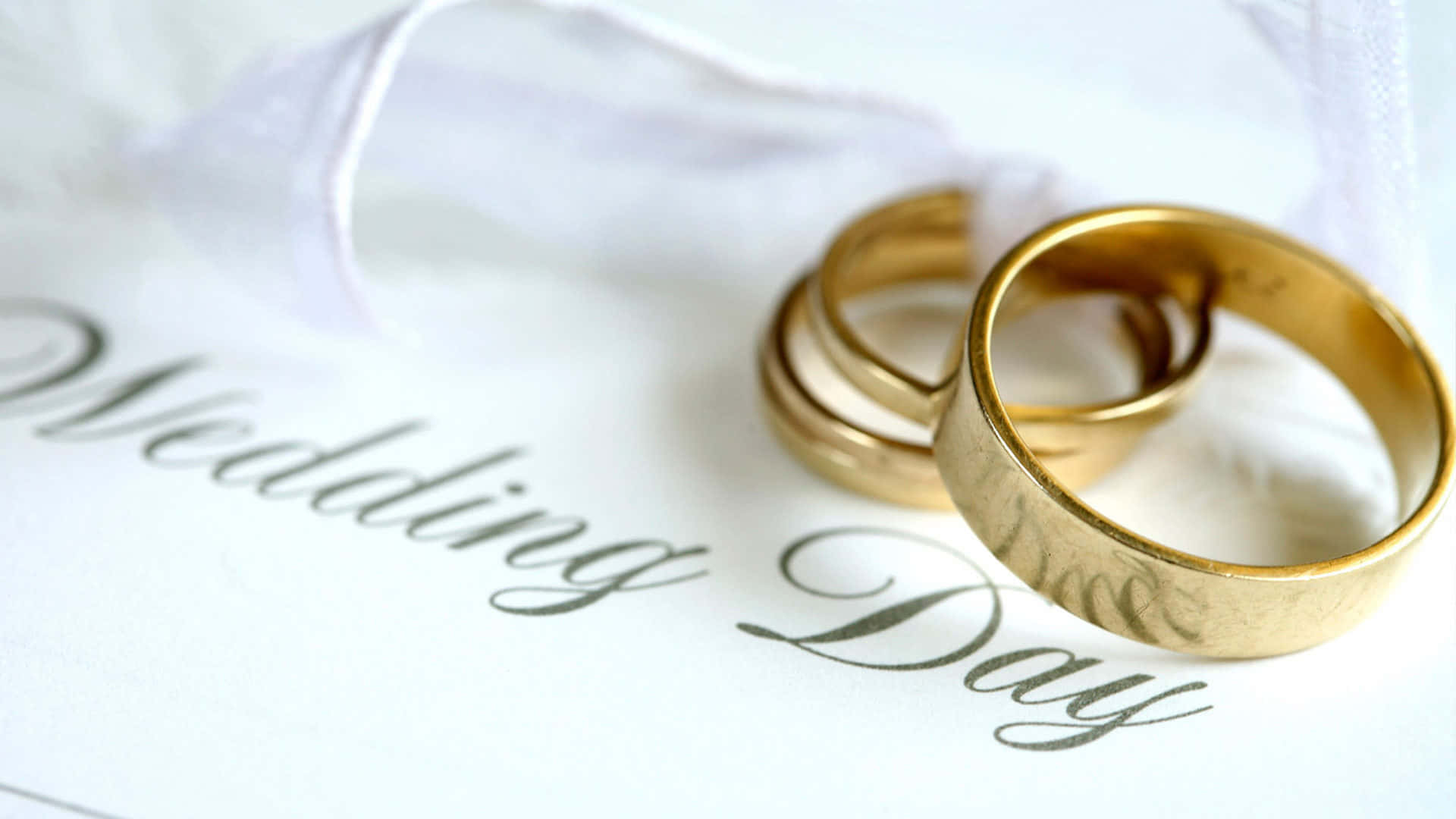 Wedding Ring 桌布 壁紙 — 兩枚金結婚戒指放在一張寫有「Wedding Day」的白色卡片上，附近有柔軟的布料。