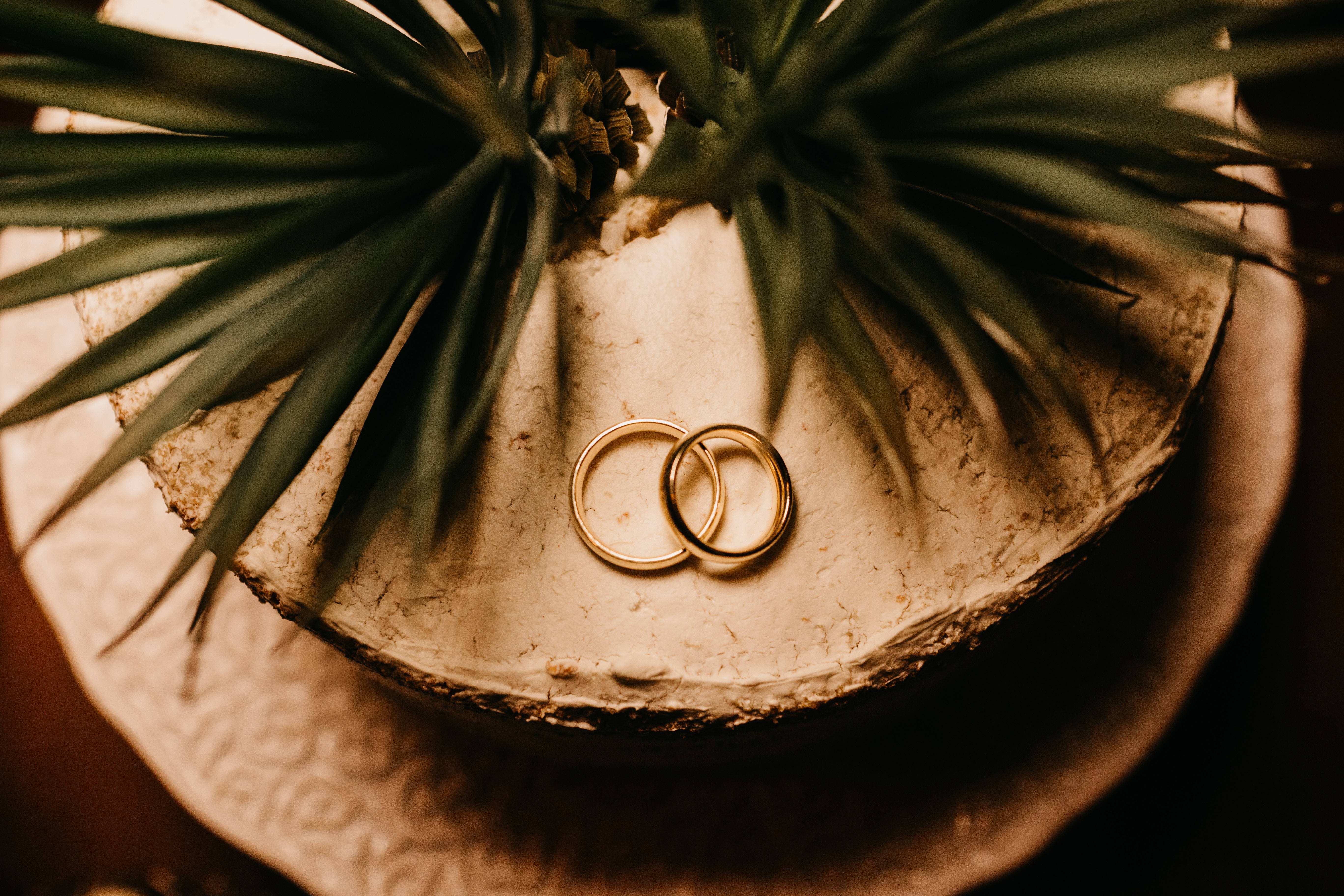 Wedding Rings 桌布 壁紙 — 兩枚金結婚戒指放在有紋理的石頭表面上，在溫暖的金色光線下，周圍是尖尖的綠色棕櫚葉。