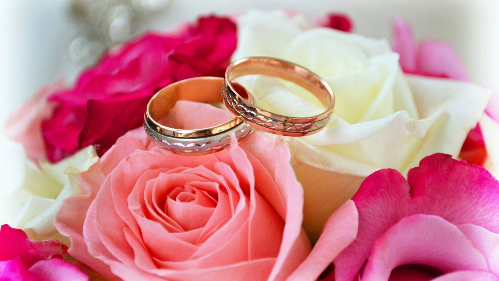 love full HD 桌布 壁紙 — 兩枚金色結婚戒指優雅地放在一束充滿活力的粉紅色和白色玫瑰上，背景柔和散景。