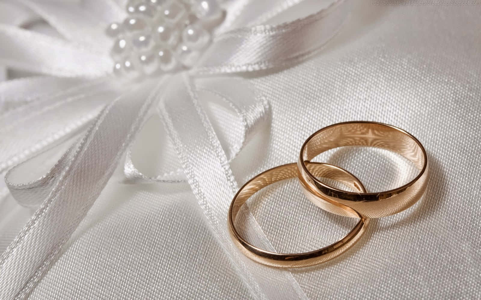 Wedding Rings 桌布 壁紙 — 兩枚金色結婚戒指放在一條飾有珍珠裝飾的白色緞帶上。