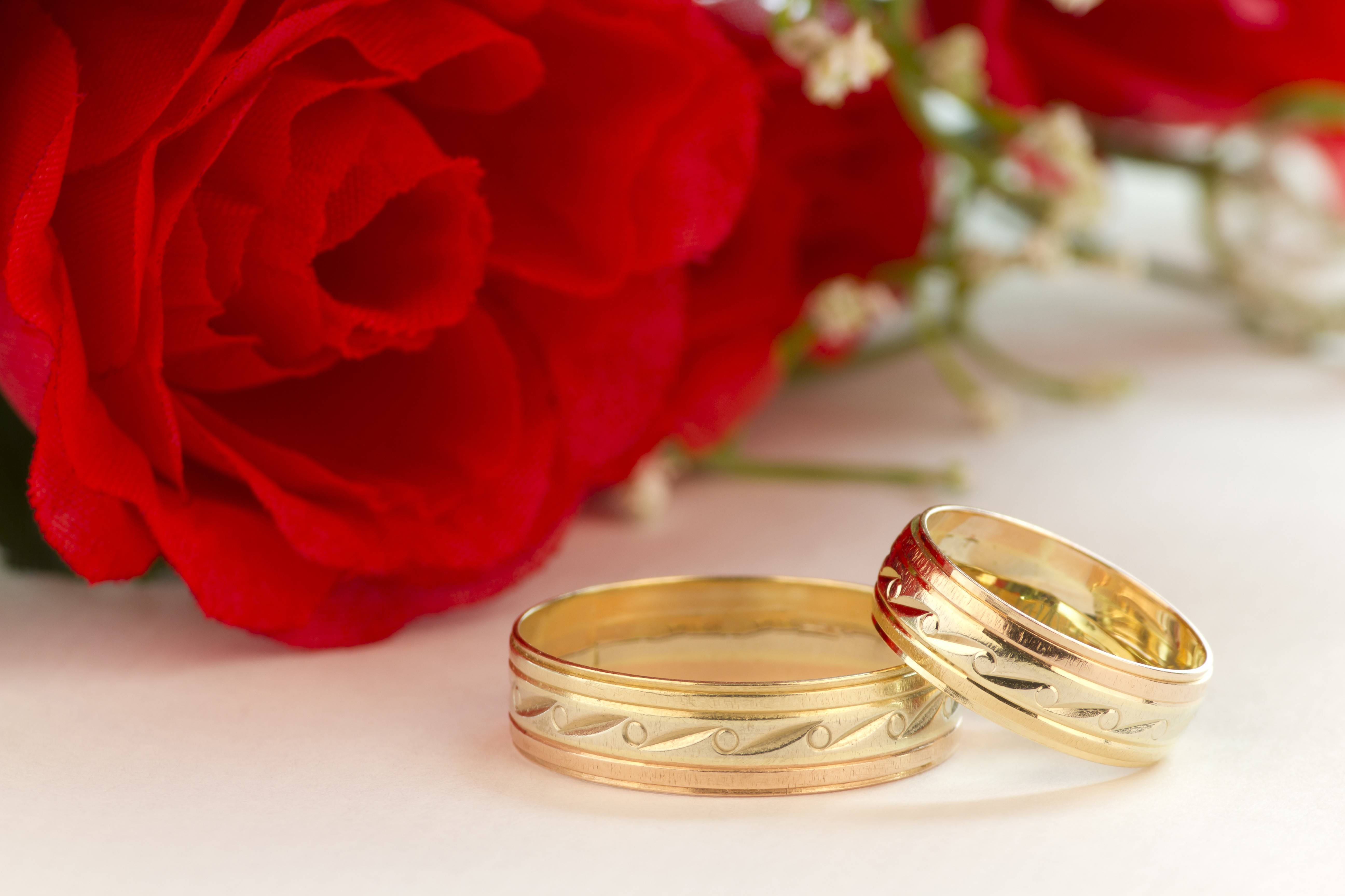 Wedding Rings 桌布 壁紙 — 兩枚金色結婚戒指放在柔軟的白色表面上，旁邊是一朵鮮豔的紅玫瑰。