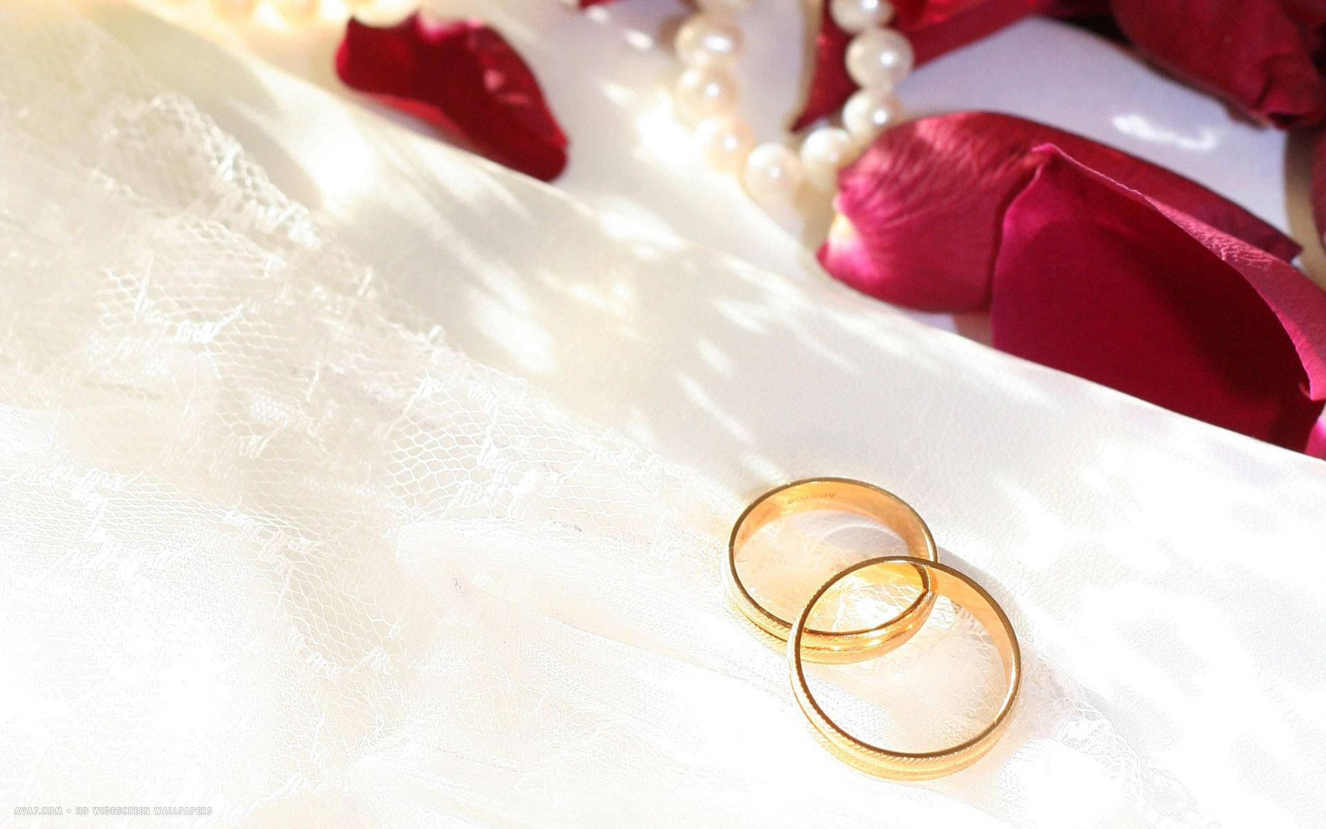 Wedding Rings 桌布 壁紙 — 兩枚金色結婚戒指放在白色蕾絲上，旁邊有紅色玫瑰花瓣和一條珍珠項鍊，沐浴在柔和陽光中。