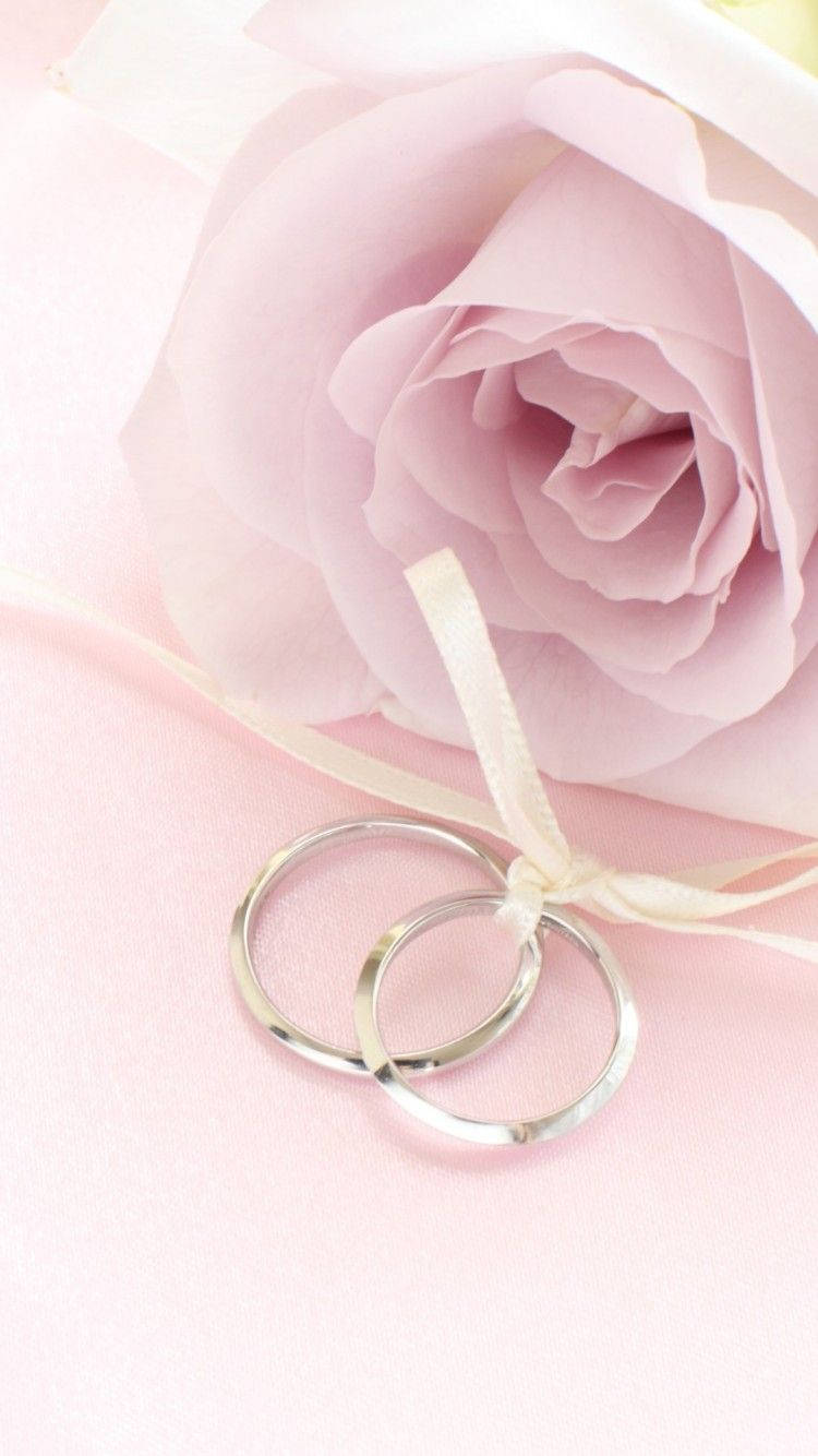 iPhone 桌布 壁紙 — 兩枚銀色結婚戒指放在一條柔軟的粉紅色玫瑰旁邊，玫瑰用奶油色絲帶綁著，放在粉彩粉紅色布料上。