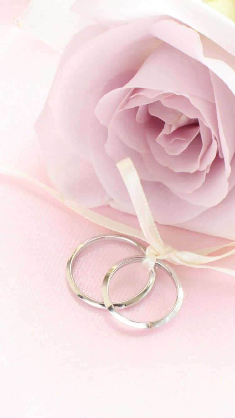 花 桌布 壁紙 — 兩枚銀色結婚戒指放在柔和的粉紅玫瑰旁，玫瑰繫著奶油色絲帶，置於粉彩粉紅表面上。