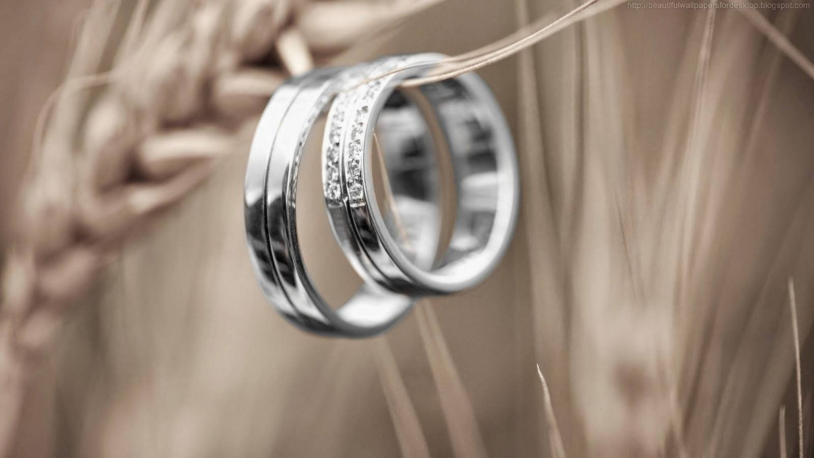 Wedding Rings 桌布 壁紙 — 兩枚銀色結婚戒指鑲有鑽石，優雅地放在柔焦的金色麥稈上。