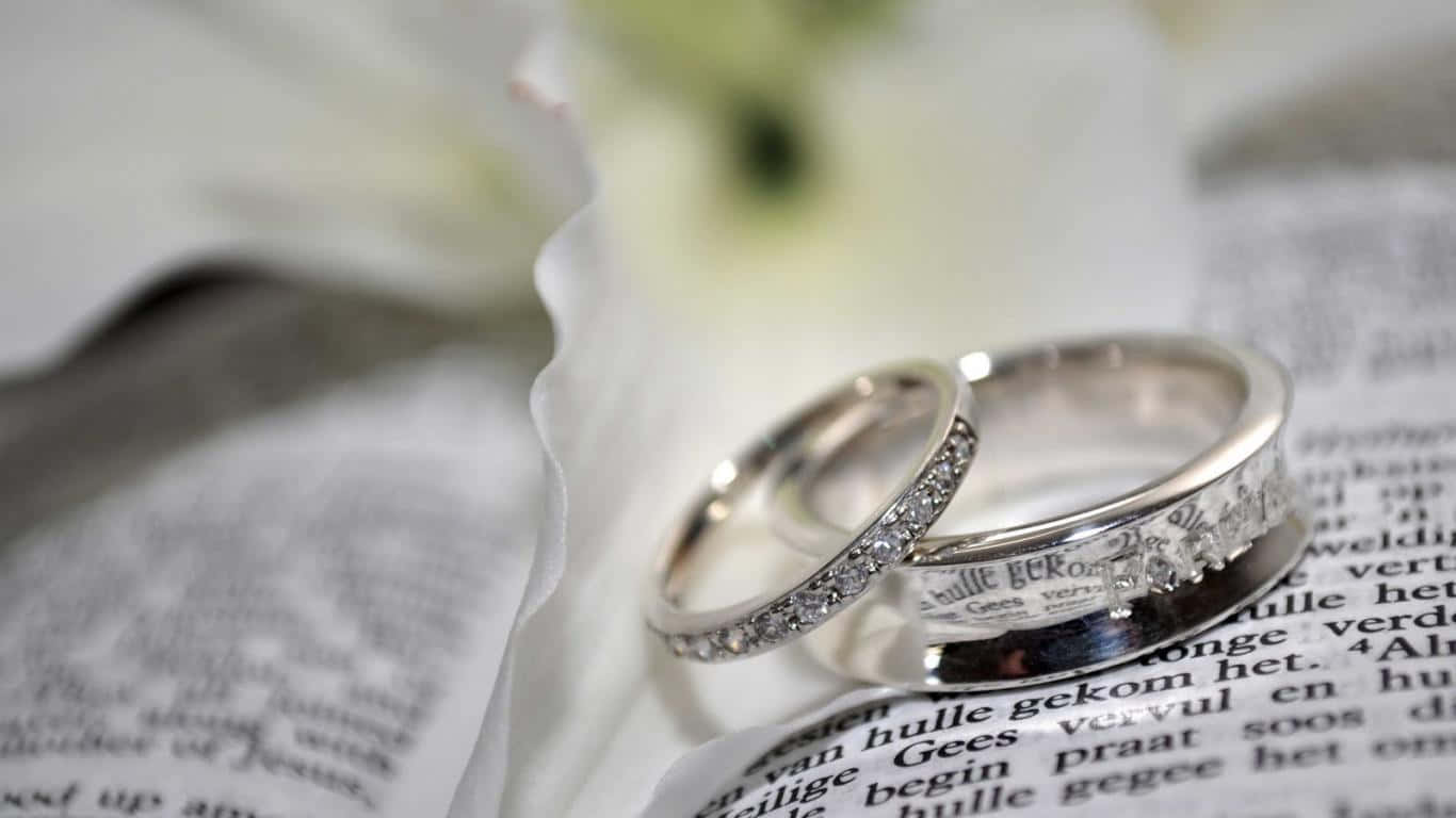 Ring 桌布 壁紙 — 兩枚銀色結婚戒指鑲有鑽石，放在一本打開的書上，旁邊有一朵白花。
