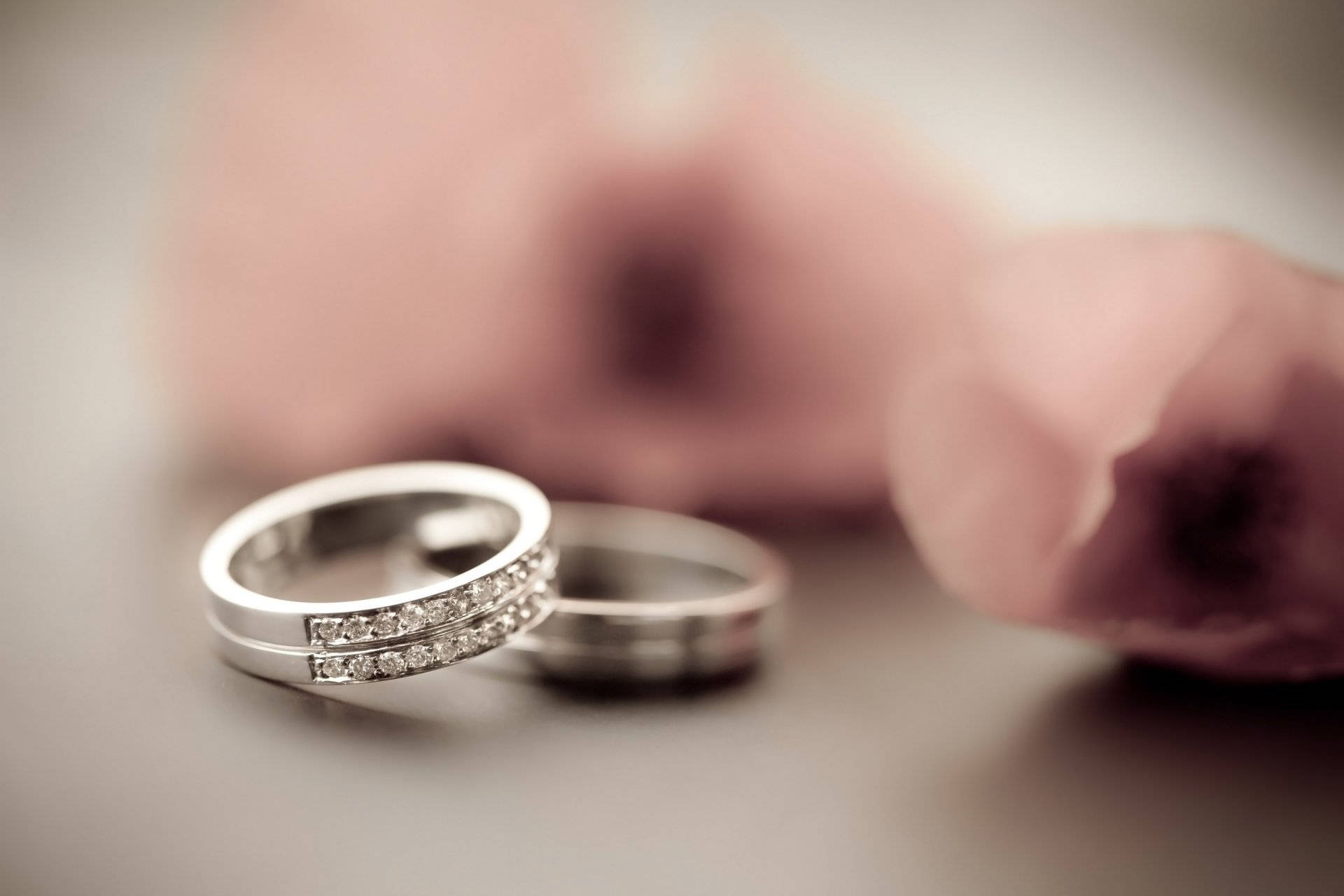 Wedding 桌布 壁紙 — 兩枚銀色結婚戒指鑲有鑽石，放在柔軟的表面上，旁邊有一朵模糊的粉紅玫瑰。