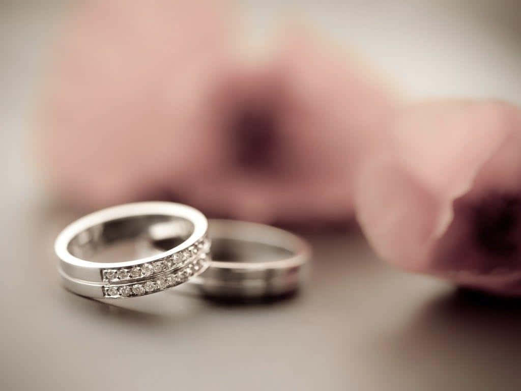 Wedding Rings 桌布 壁紙 — 兩枚銀色結婚戒指鑲有鑽石，放在柔軟的表面上，旁邊有一朵模糊的粉紅色花朵。