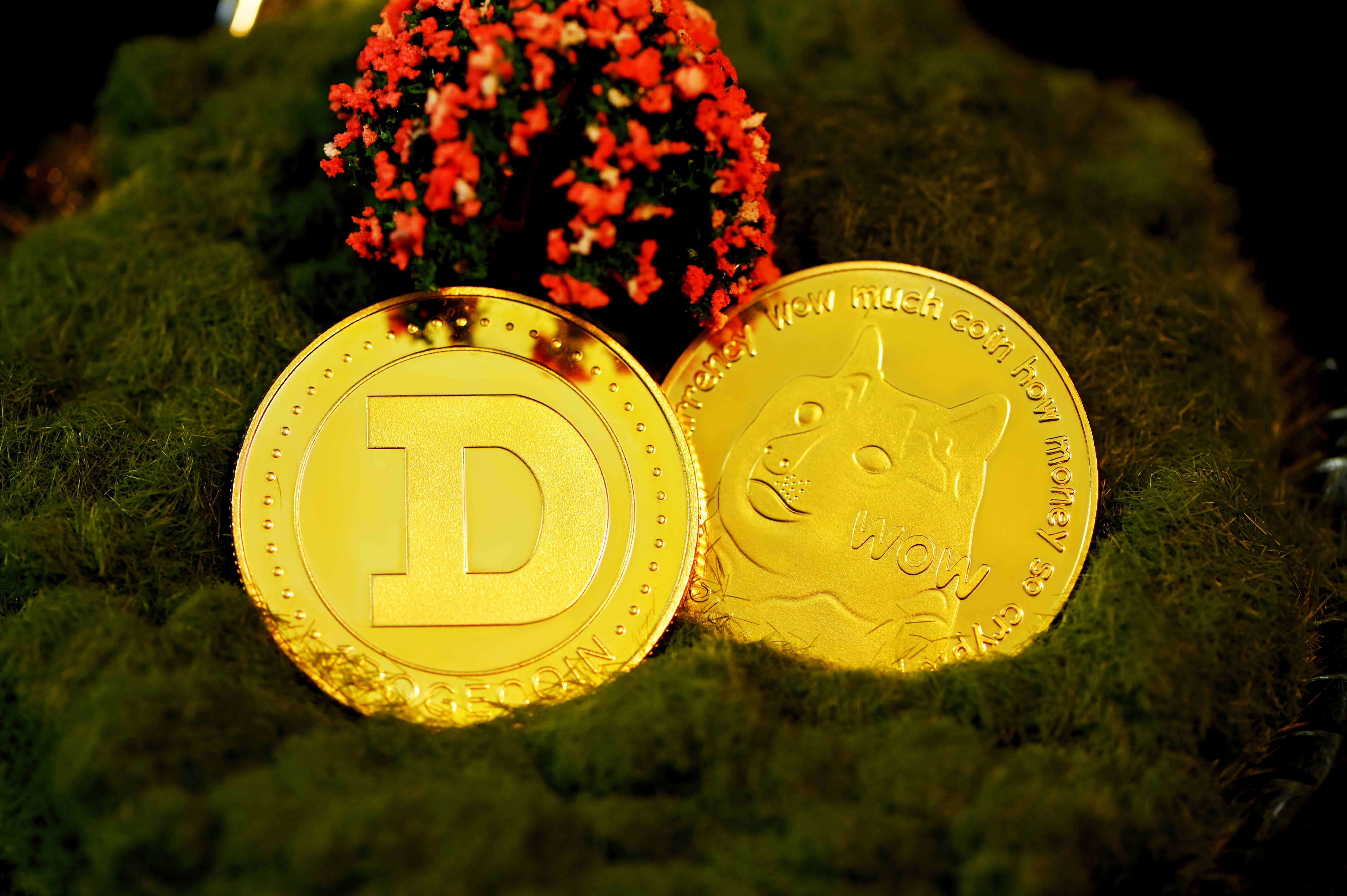 Dogecoin 桌布 壁紙 — 兩枚閃閃發光的金色加密貨幣硬幣 Dogecoin 和 Shiba Inu 放在茂盛的綠色苔蘚上，旁邊有一朵鮮豔的紅花。