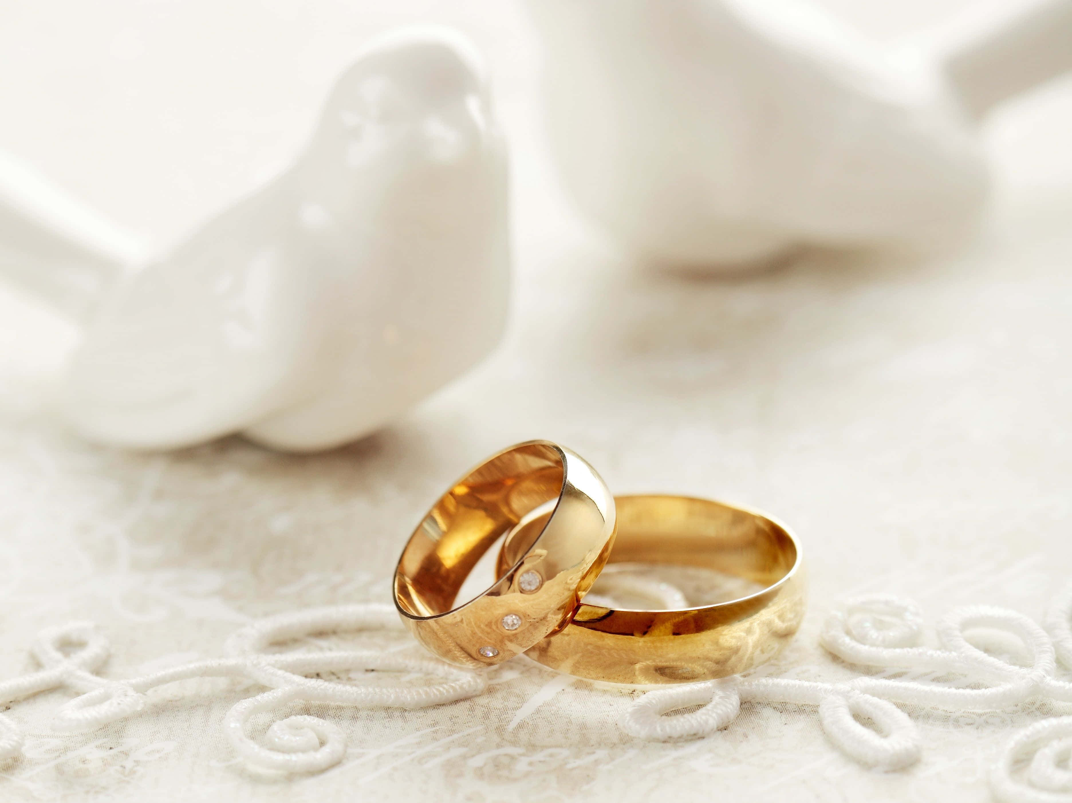 結婚戒指 桌布 壁紙 — 兩枚閃閃發光的金色結婚戒指放在精緻的白色蕾絲上，旁邊是柔焦的陶瓷鴿子。
