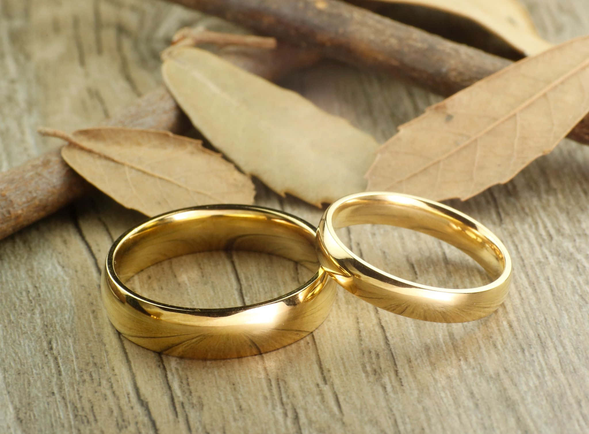 結婚戒指 桌布 壁紙 — 兩枚閃閃發光的金色結婚戒指放在質樸的木質表面上，旁邊有乾樹葉和樹枝。