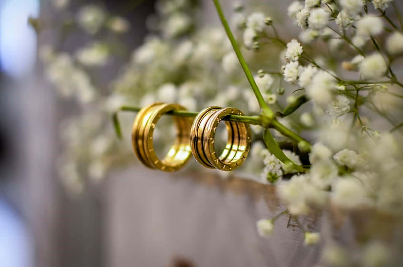 Wedding Rings 桌布 壁紙 — 兩枚閃閃發光的金色結婚戒指纏繞在纖細的滿天星花莖上。
