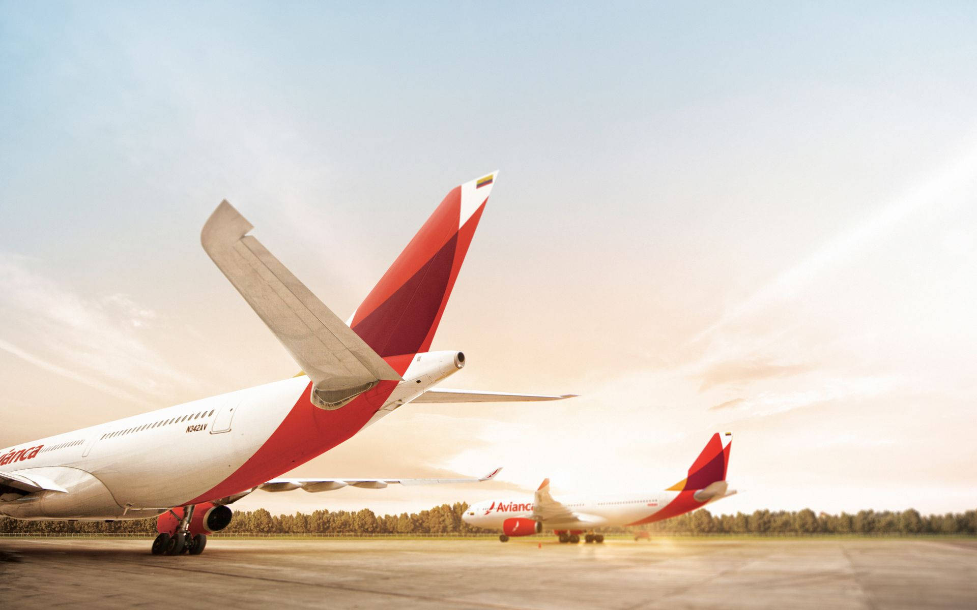 Airport 桌布 壁紙 — 兩架 Avianca 飛機停泊在陽光照耀的停機坪上，溫暖的金色光線在跑道上投下長長的影子。