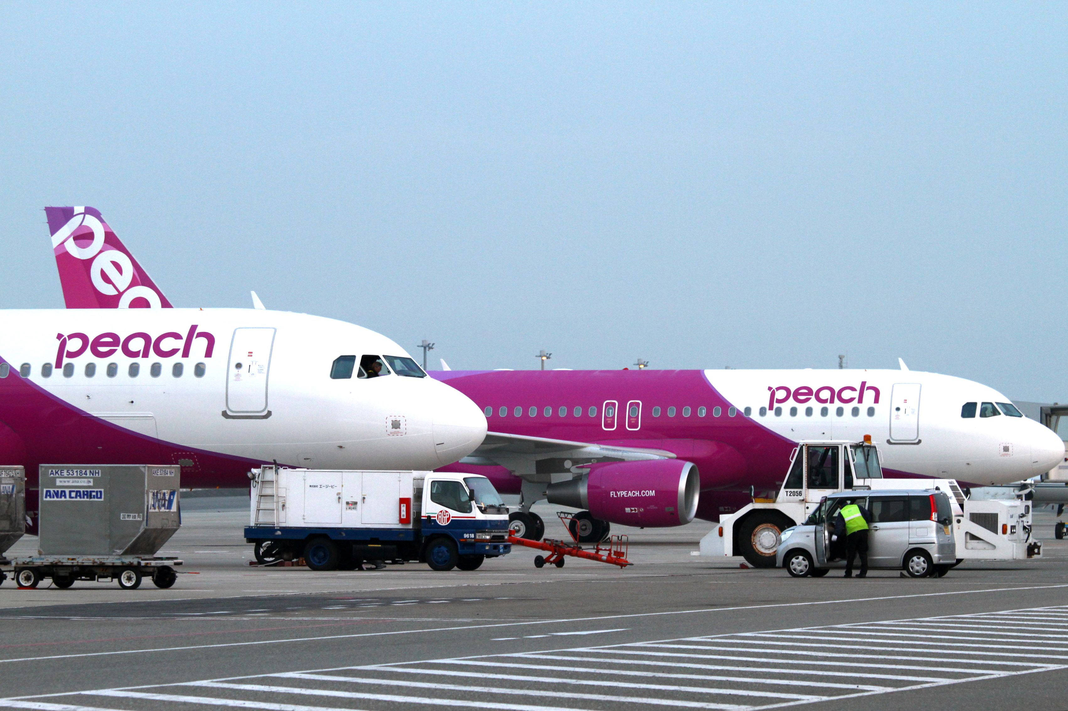 Airport 桌布 壁紙 — 兩架Peach Airlines的噴射機，採用鮮豔的洋紅色和白色塗裝，停在機場停機坪上，附近有地勤人員和服務車輛。