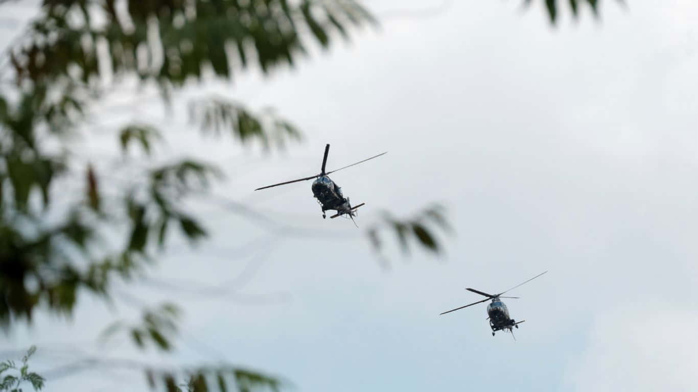 1366x768 Helicopters 桌布 壁紙 — 兩架軍用直升機以編隊飛行，背景是陰天，並以失焦的樹枝作為框架。