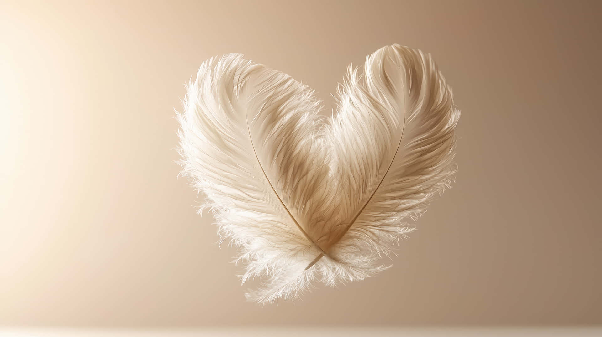 Soft White Feathers Forming a Heart Shape in Air 壁紙 — 兩根奶油色鴕鳥羽毛排列成心形，襯以柔和米色漸變背景。