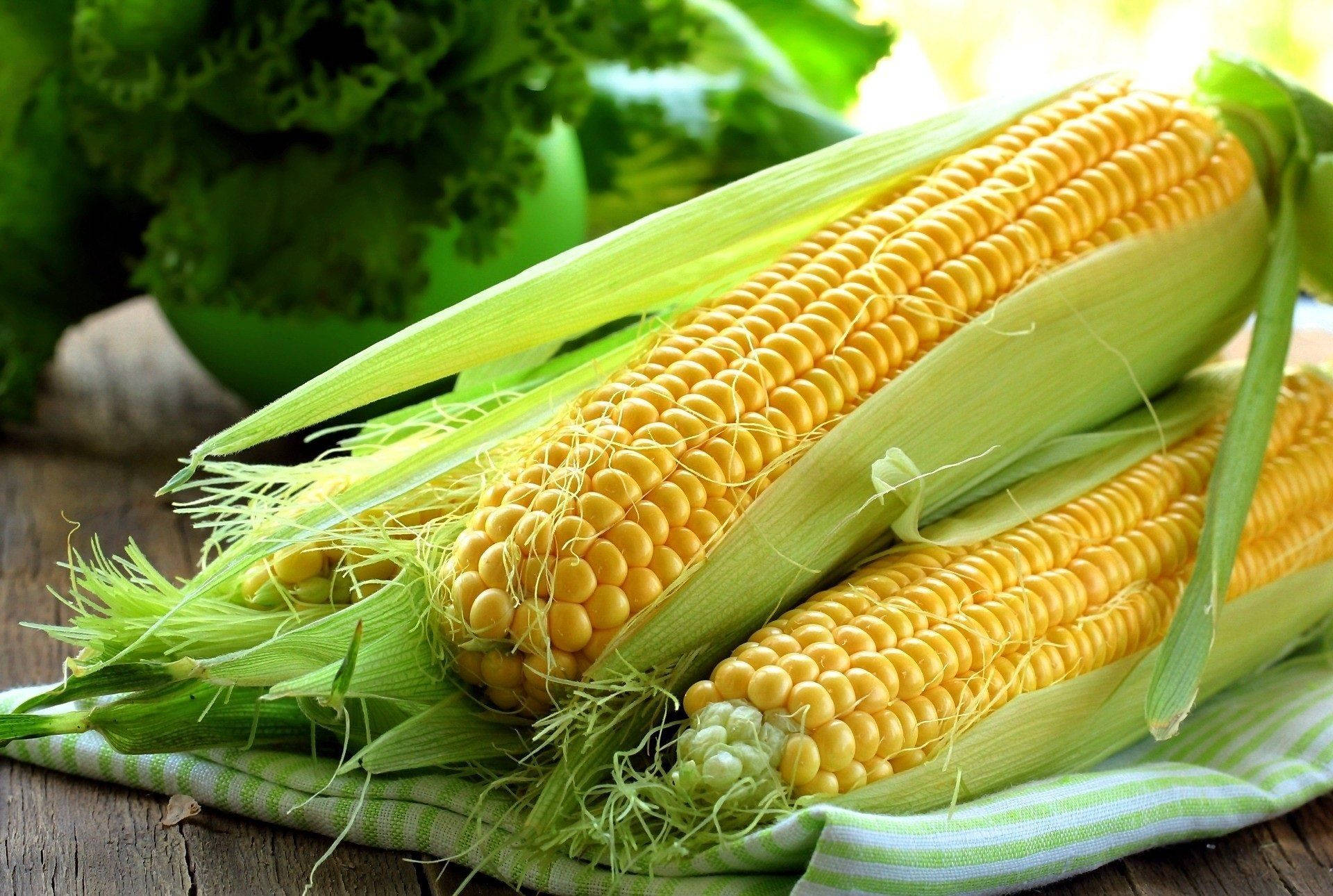 Fruits And Vegetables 桌布 壁紙 — 兩根新鮮的黃色玉米，帶有綠色外殼，放在條紋布上，背景是鄉村風格的木頭。