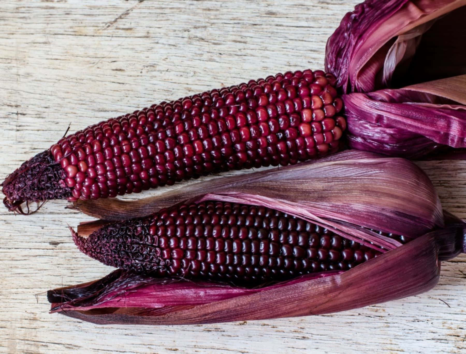 Purple Corn 桌布 壁紙 — 兩根深紅色玉米，帶紫色外殼，放在風化的木質表面上。