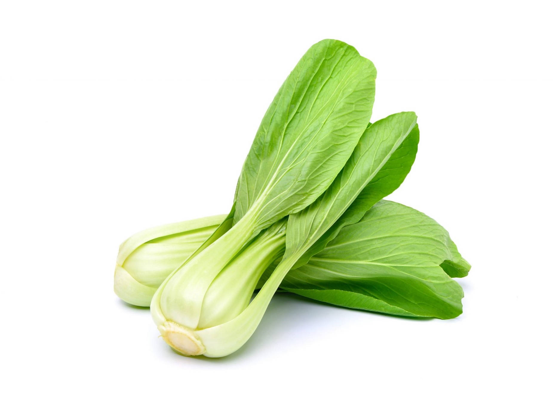 Vegetables 桌布 壁紙 — 兩根爽脆的青江菜莖，帶著鮮綠色的葉子，靠在純白背景上。