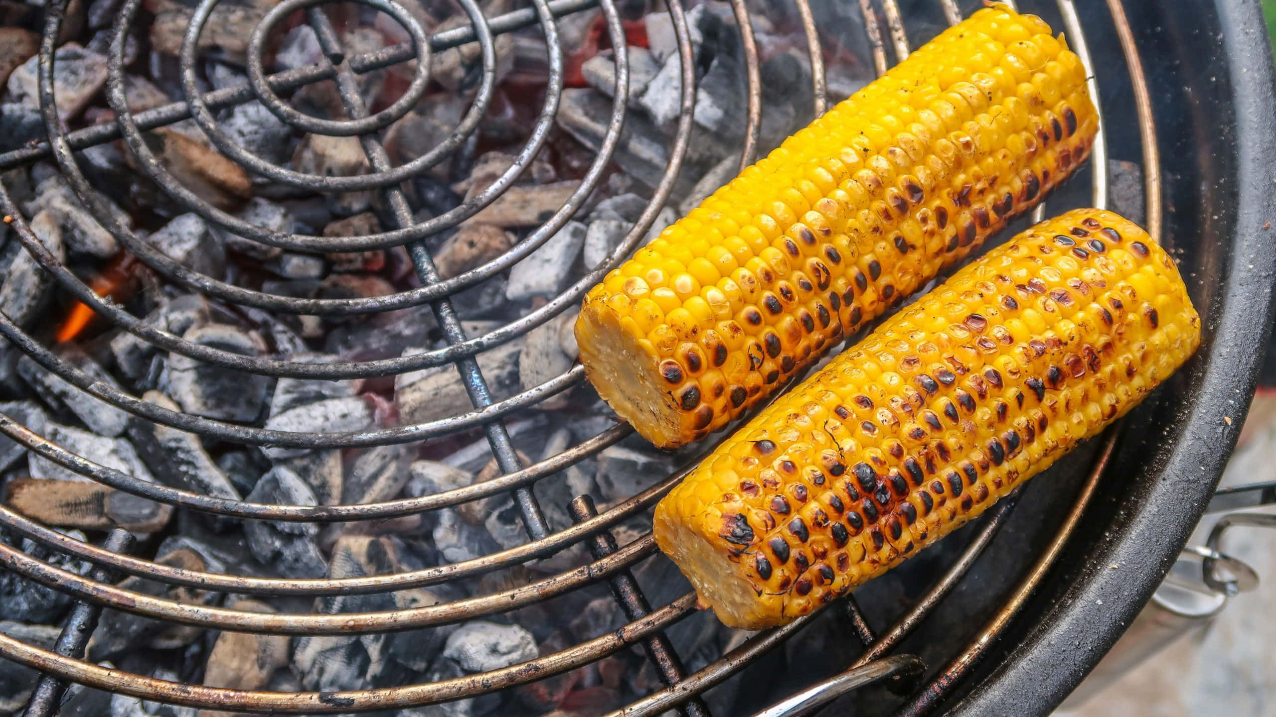 Corn 桌布 壁紙 — 兩根金黃色的玉米，帶有燒焦的玉米粒，在炭火烤架上滋滋作響。