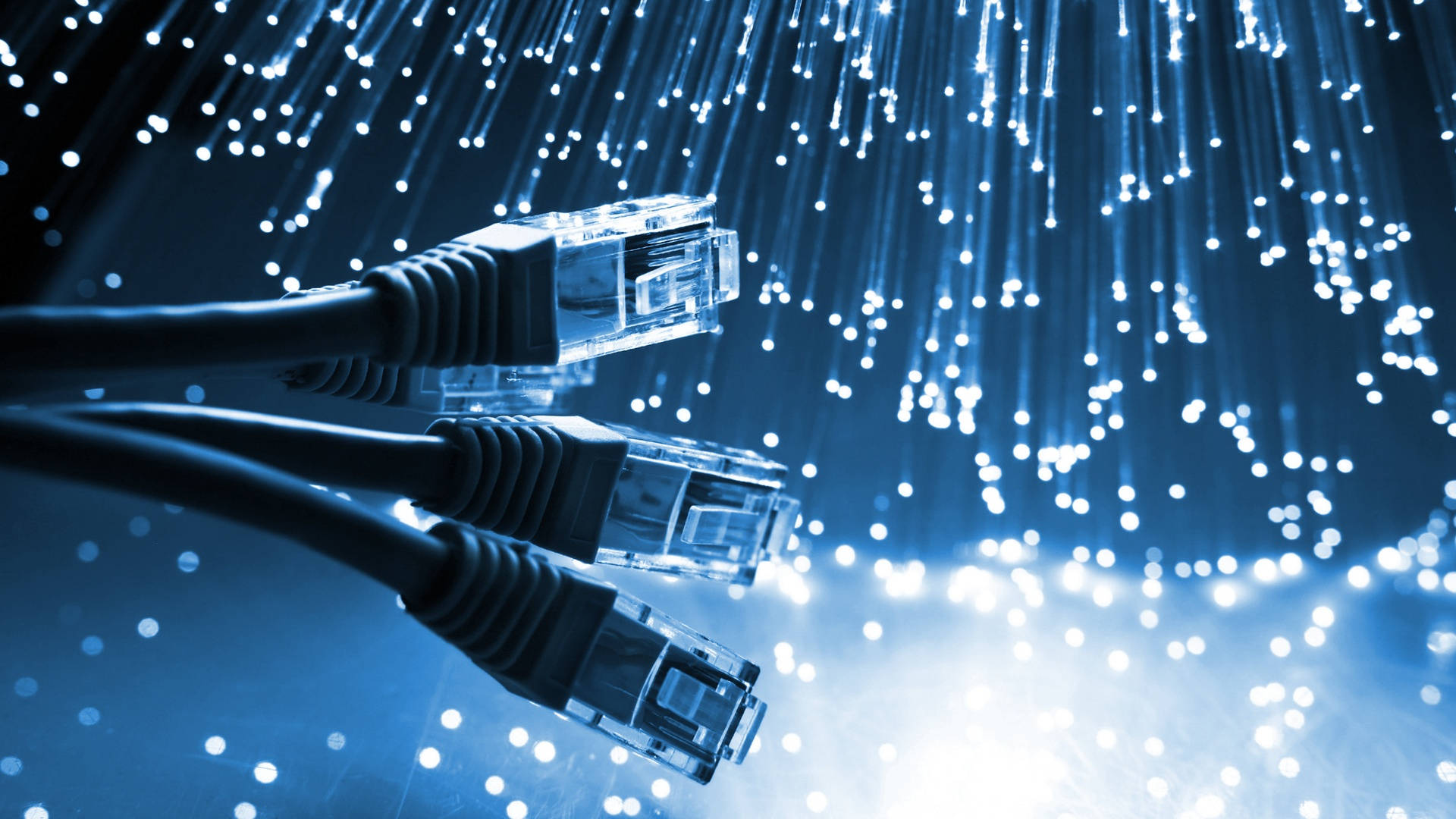 Information 桌布 壁紙 — 兩條乙太網路電纜連接到一個發光的藍色光纖網路，帶有閃爍的光粒子。