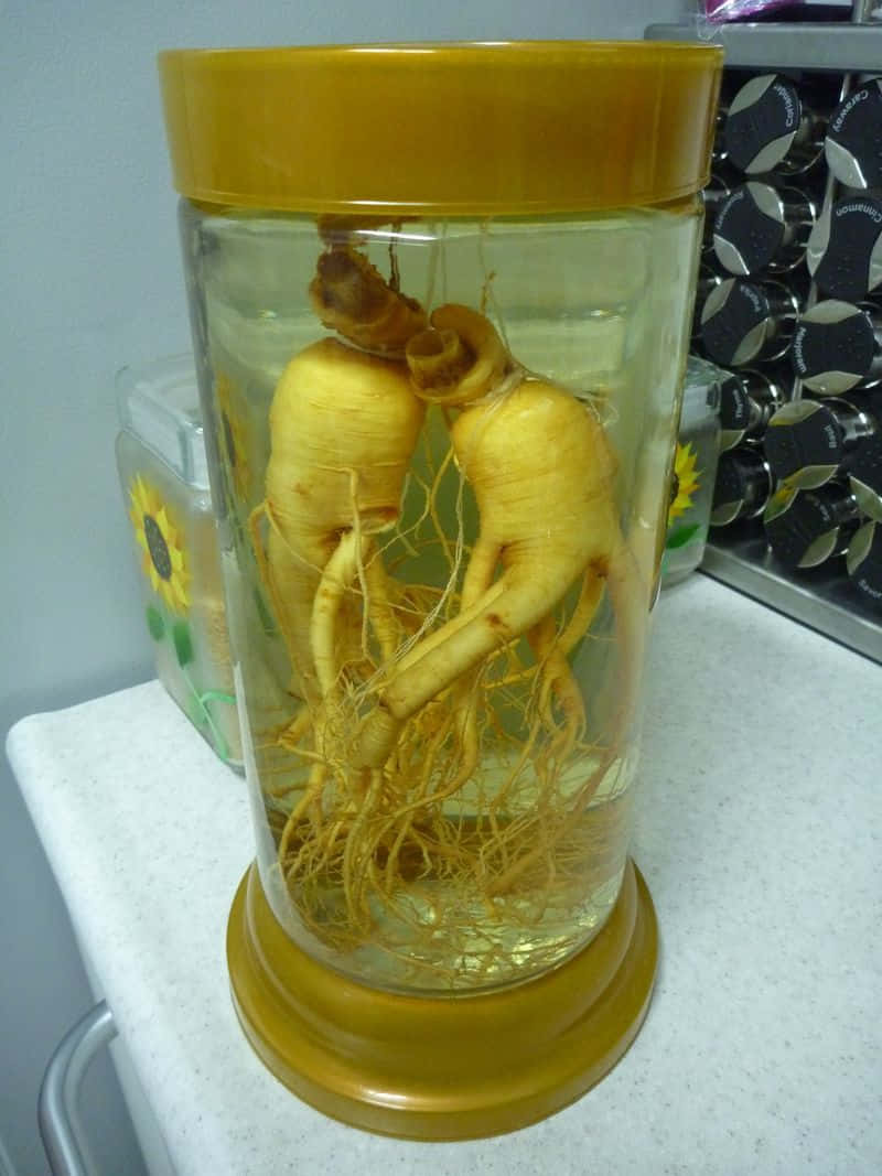 Ginseng Plant 桌布 壁紙 — 兩條人參根在白色檯面上的黃蓋玻璃罐內浸泡於金色液體中。