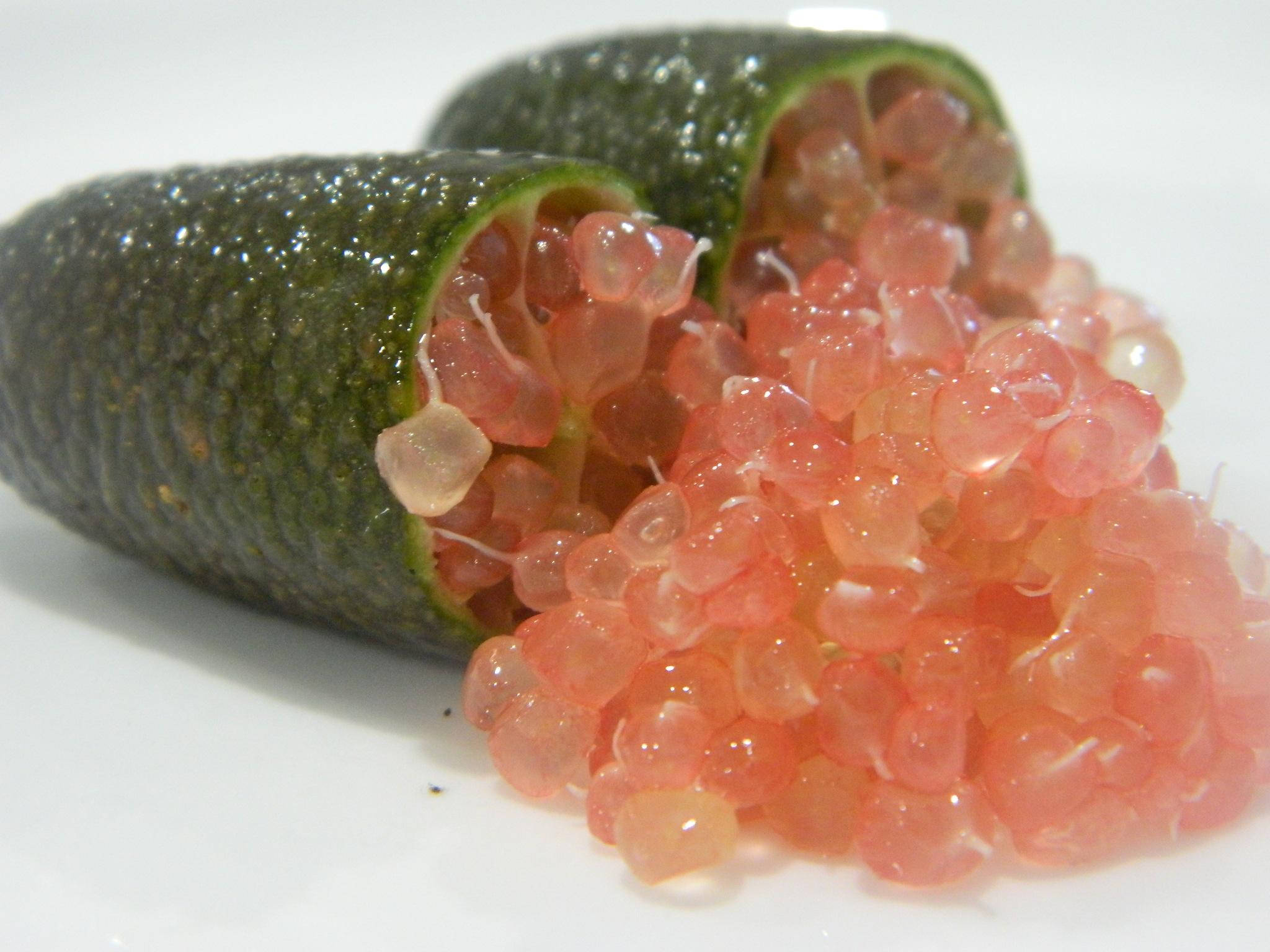 Fruits 桌布 壁紙 — 兩條切半的青瓜露出閃閃發光的粉紅色半透明魚子醬，灑落在白色表面上。