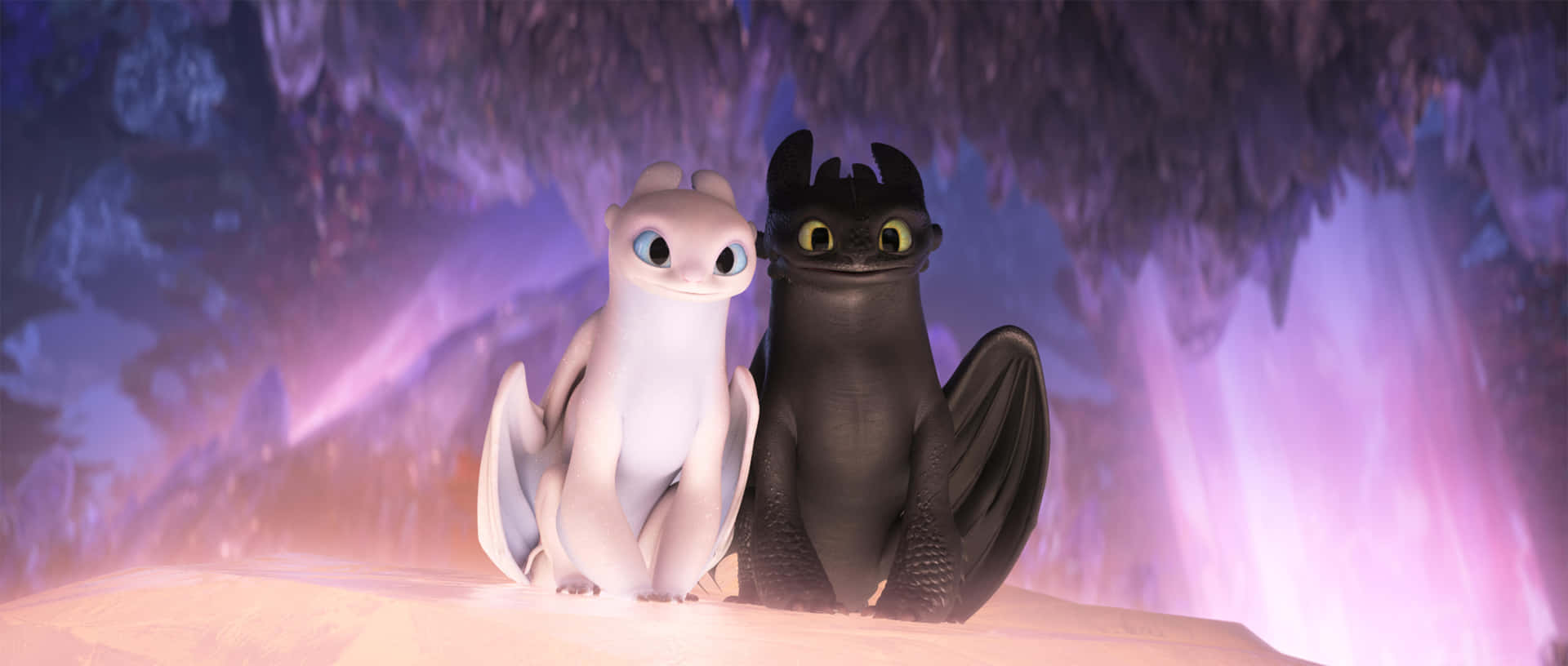How To Train Your Dragon 4K 桌布 壁紙 — 兩條動畫龍，一白一黑，一起坐在發光的紫色洞穴中。