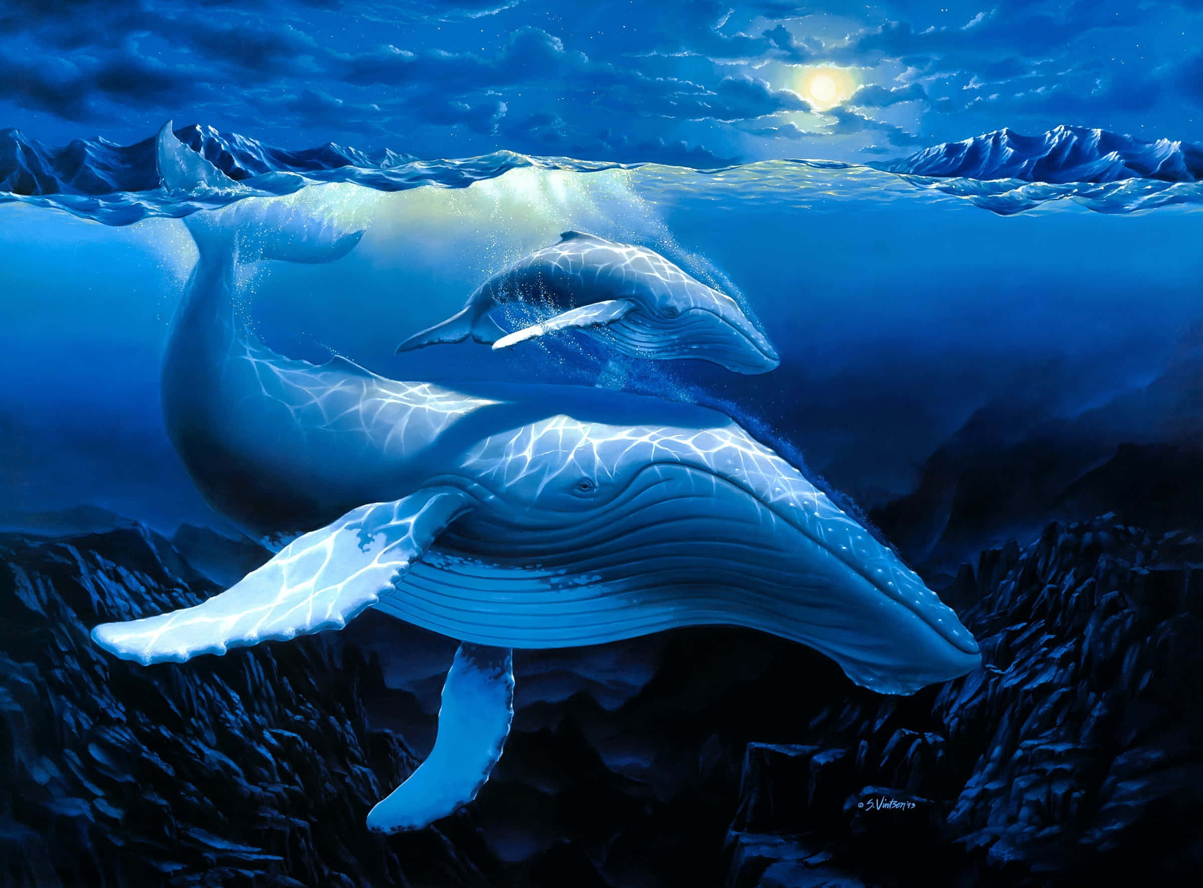 blue whale 桌布 壁紙 — 兩條座頭鯨在月光照耀的天空下優雅地在水下滑行，鋸齒狀的山脈在水面上下清晰可見。