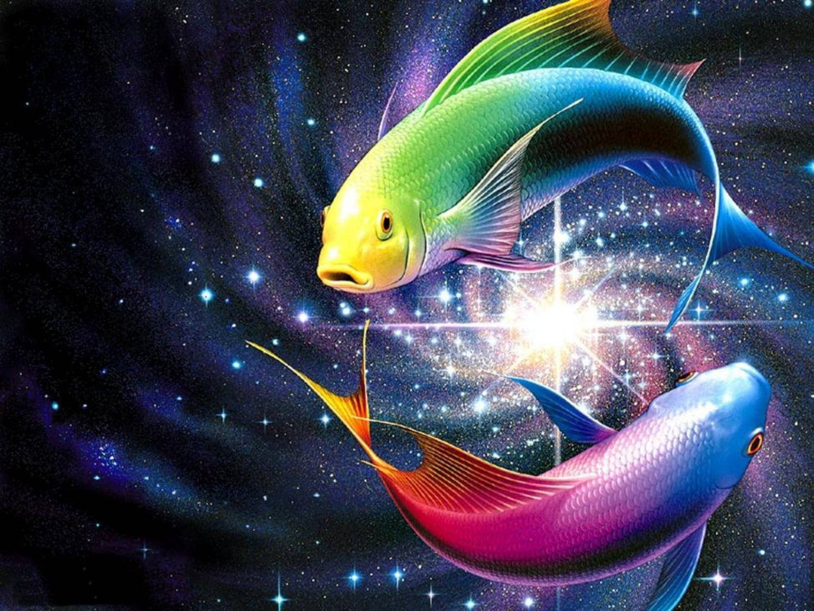 酷魚 桌布 壁紙 — 兩條彩虹魚優雅地游過充滿閃爍星星和光芒四射的宇宙星雲。