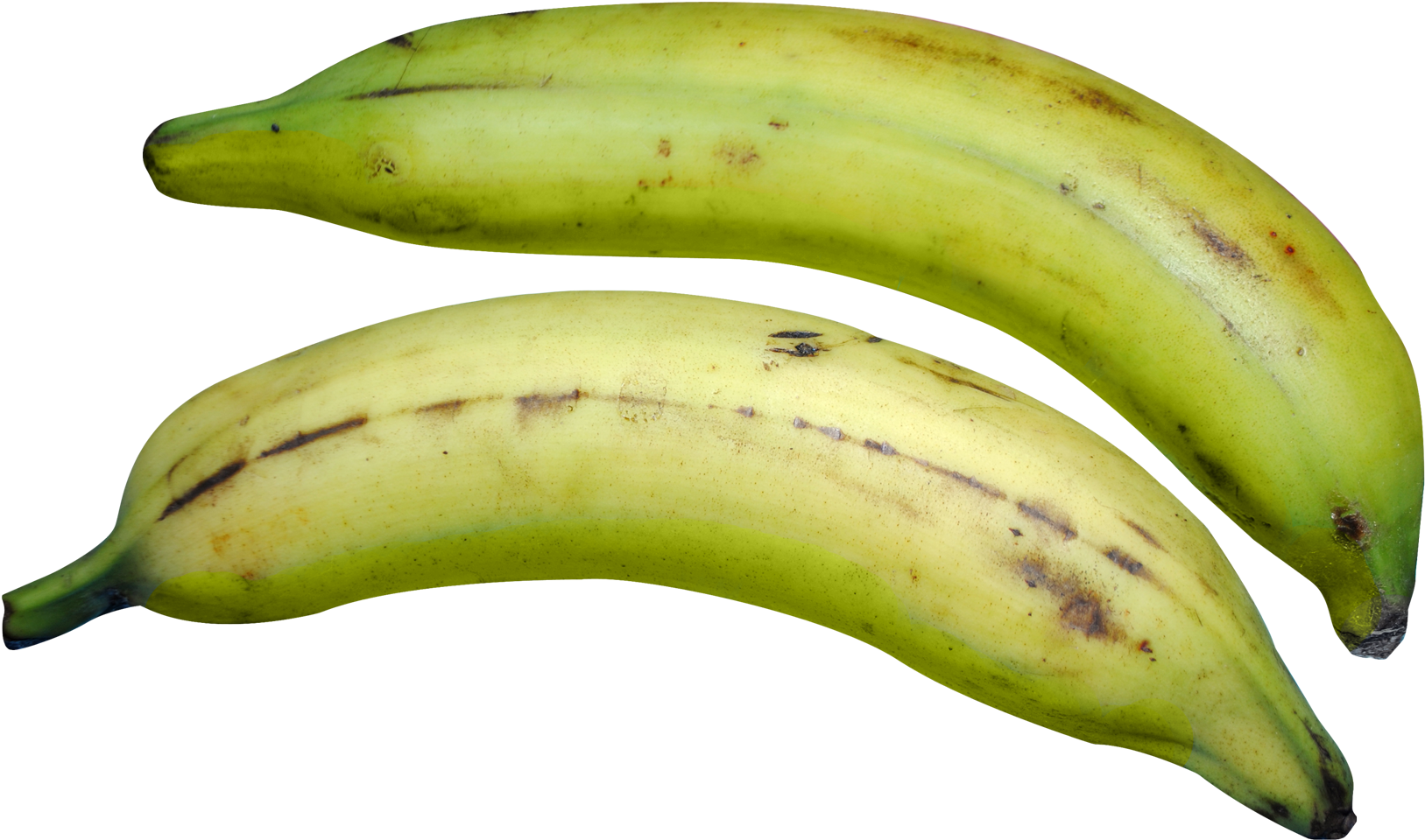 Plantain 桌布 壁紙 — 兩條成熟帶有棕色斑點的黃色香蕉在純黑背景上彎曲。