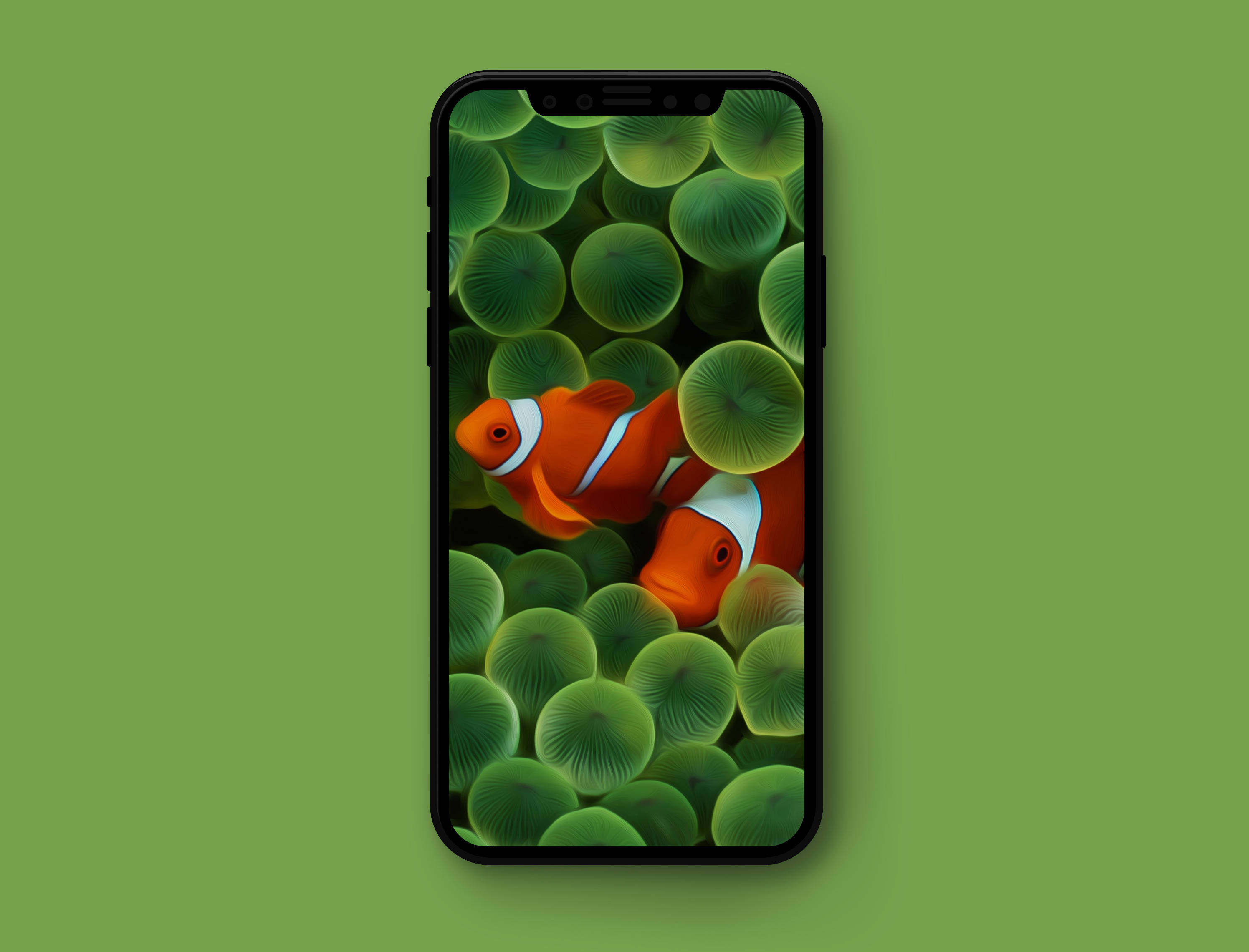 Apple iPhone 預設 桌布 壁紙 — 兩條橙色小丑魚在綠色海葵之間游動，顯示在智慧型手機螢幕上，背景為純綠色。
