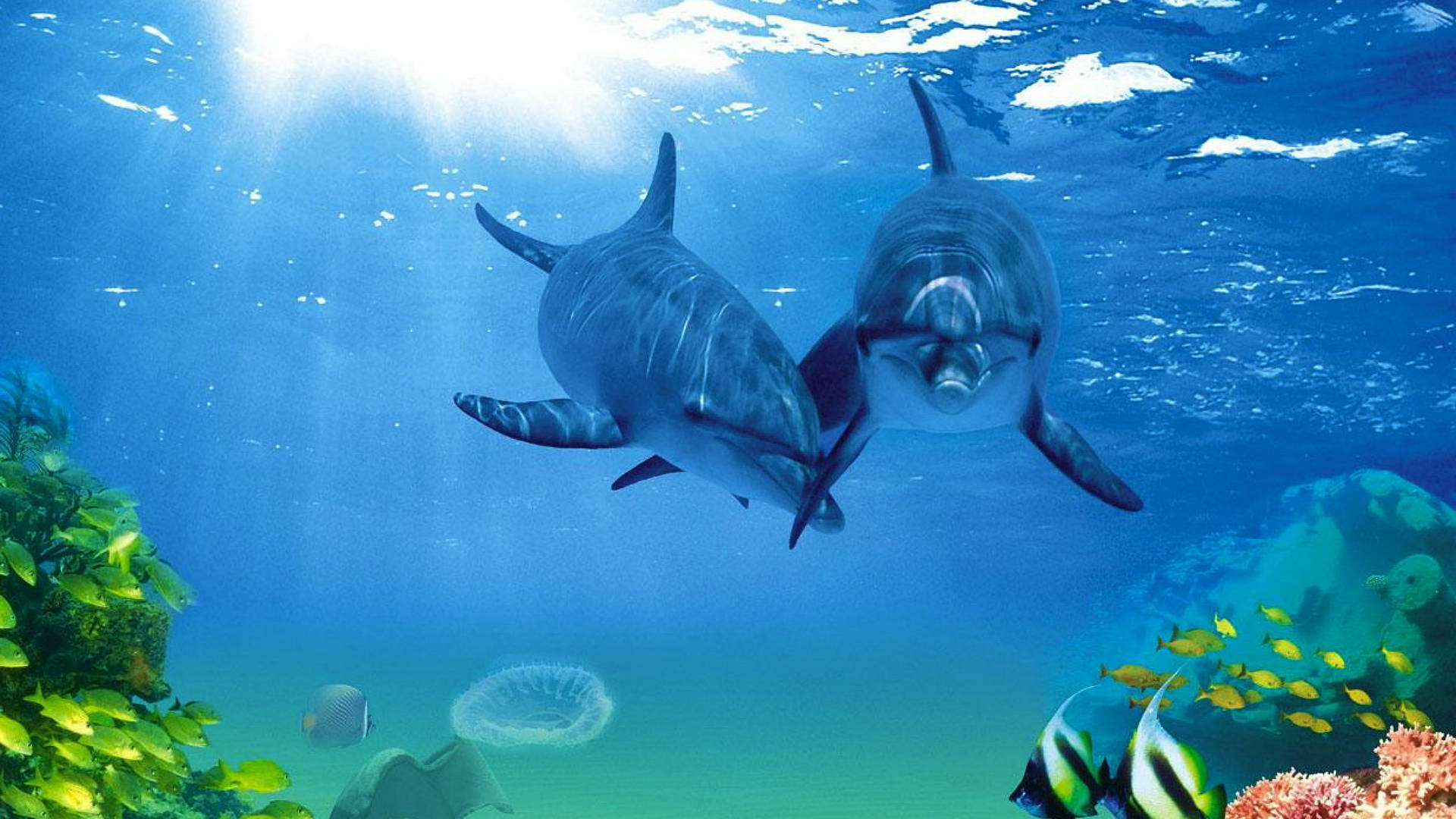 魚 桌布 壁紙 — 兩條海豚在陽光普照的碧綠海水中優雅地滑行，穿梭於色彩繽紛的珊瑚礁和魚群之上。