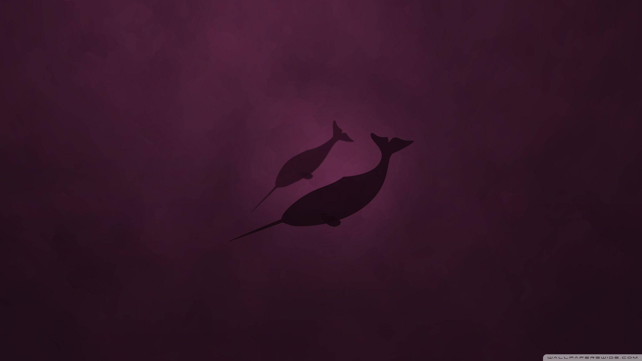 Narwhal 桌布 壁紙 — 兩條深色海豚剪影在紋理豐富的深紫色漸變背景上優雅地跳躍。