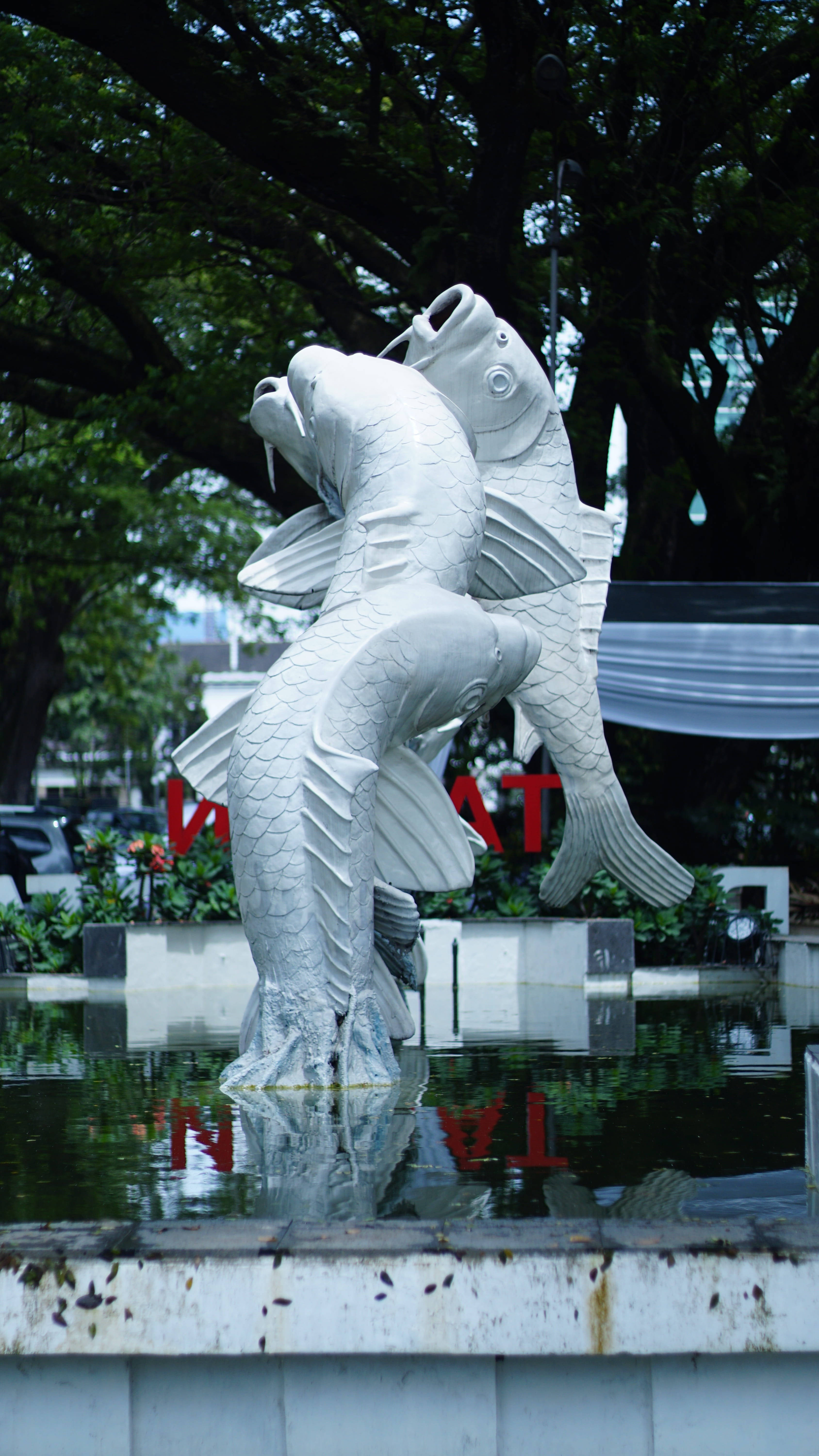 bandung 桌布 壁紙 — 兩條白色魚雕塑從淺水池中動態躍起，周圍環繞著茂密的綠樹。