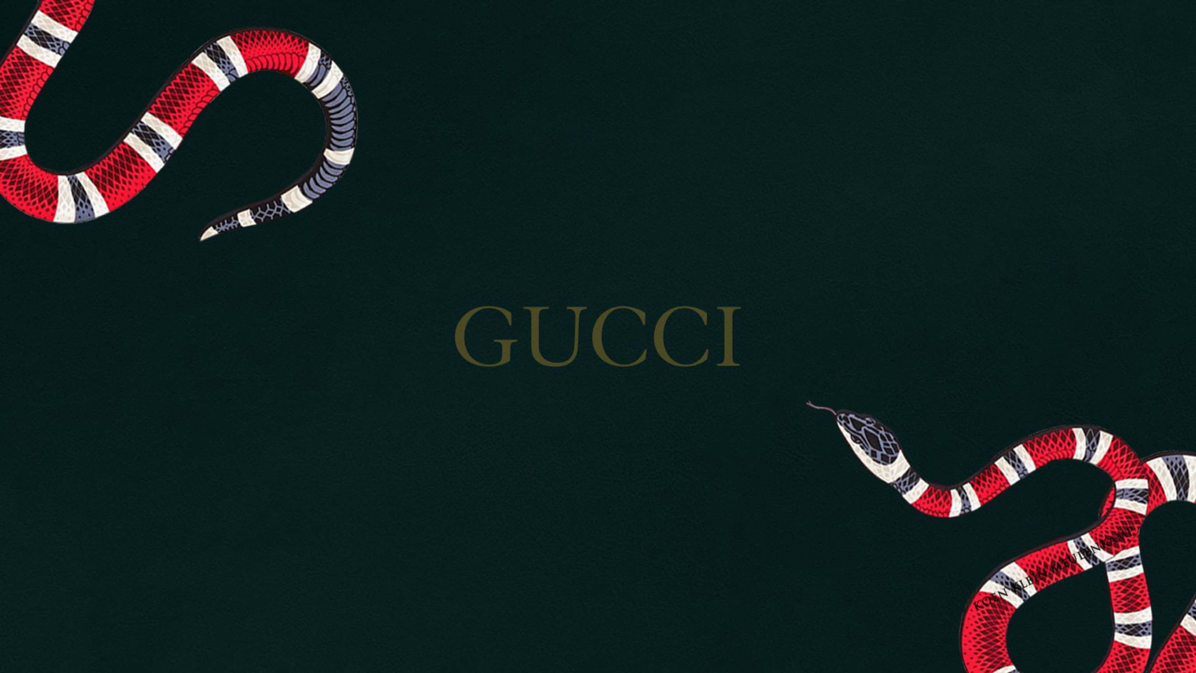 高清 桌布 壁紙 — 兩條紅、白、黑色的蛇在深綠色紋理背景上環繞 Gucci 標誌。