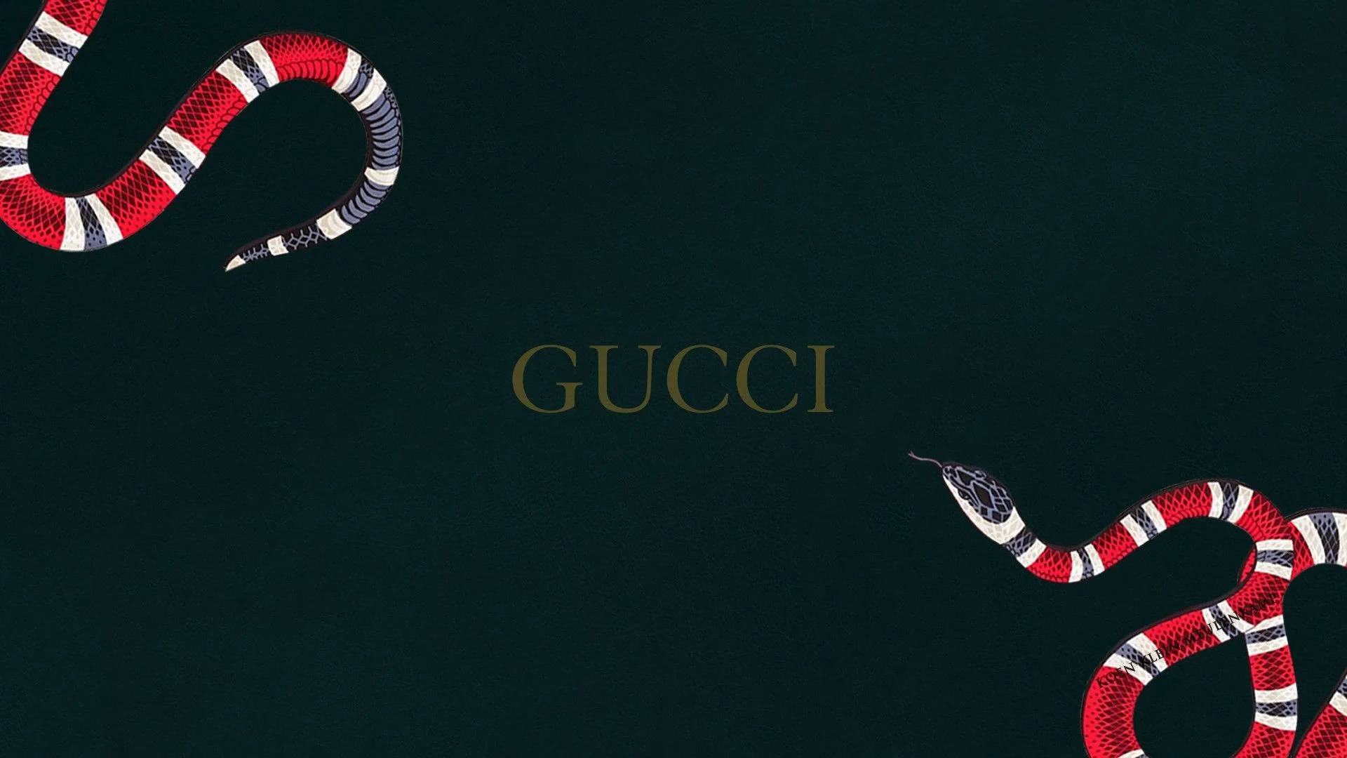 兩條圖案蛇框住Gucci標誌，背景為深綠色。