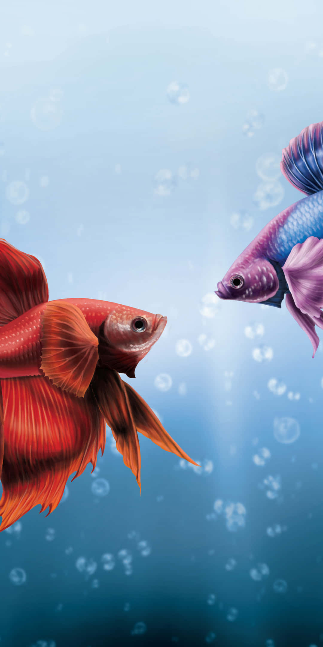 Pixel 3 Fish 桌布 壁紙 — 兩條色彩鮮豔的鬥魚在清澈的藍色水中面對面，漂浮的氣泡營造出寧靜的水下相遇。