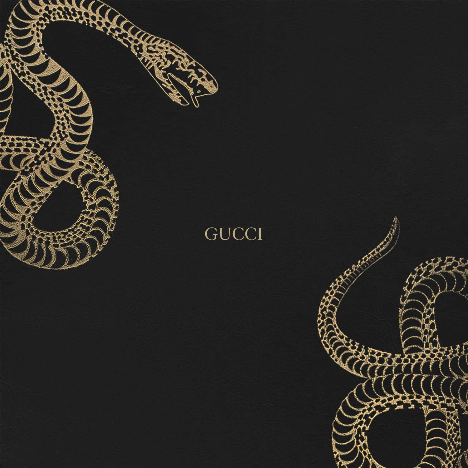 Gucci 桌布 壁紙 — 兩條華麗的金蛇優雅地纏繞在帶有紋理的黑色皮革背景上，中央是Gucci標誌。