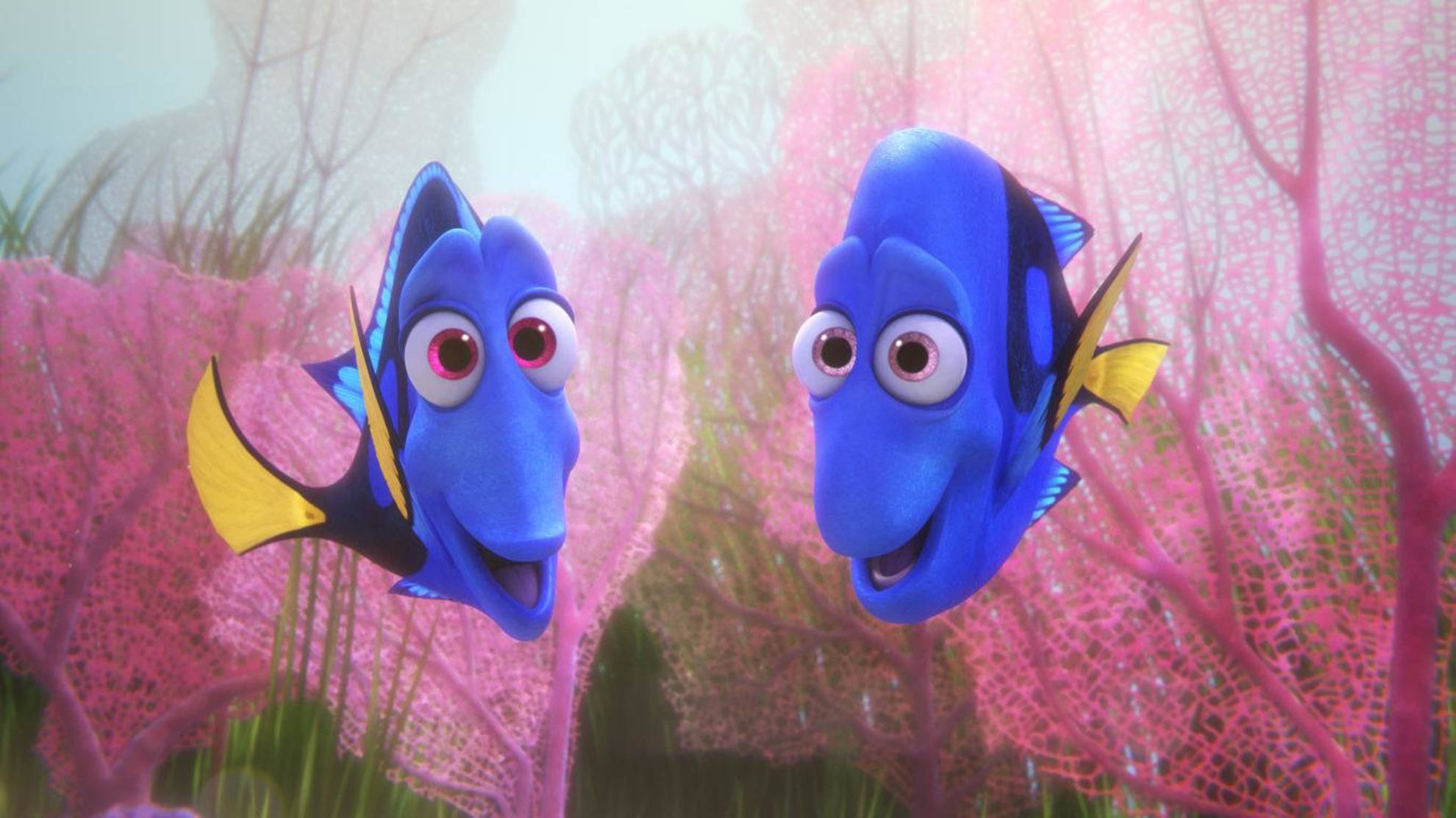 Dory 桌布 壁紙 — 兩條藍色黃鰭魚在陽光照射的水下場景中，在粉紅色珊瑚附近快樂地游動。