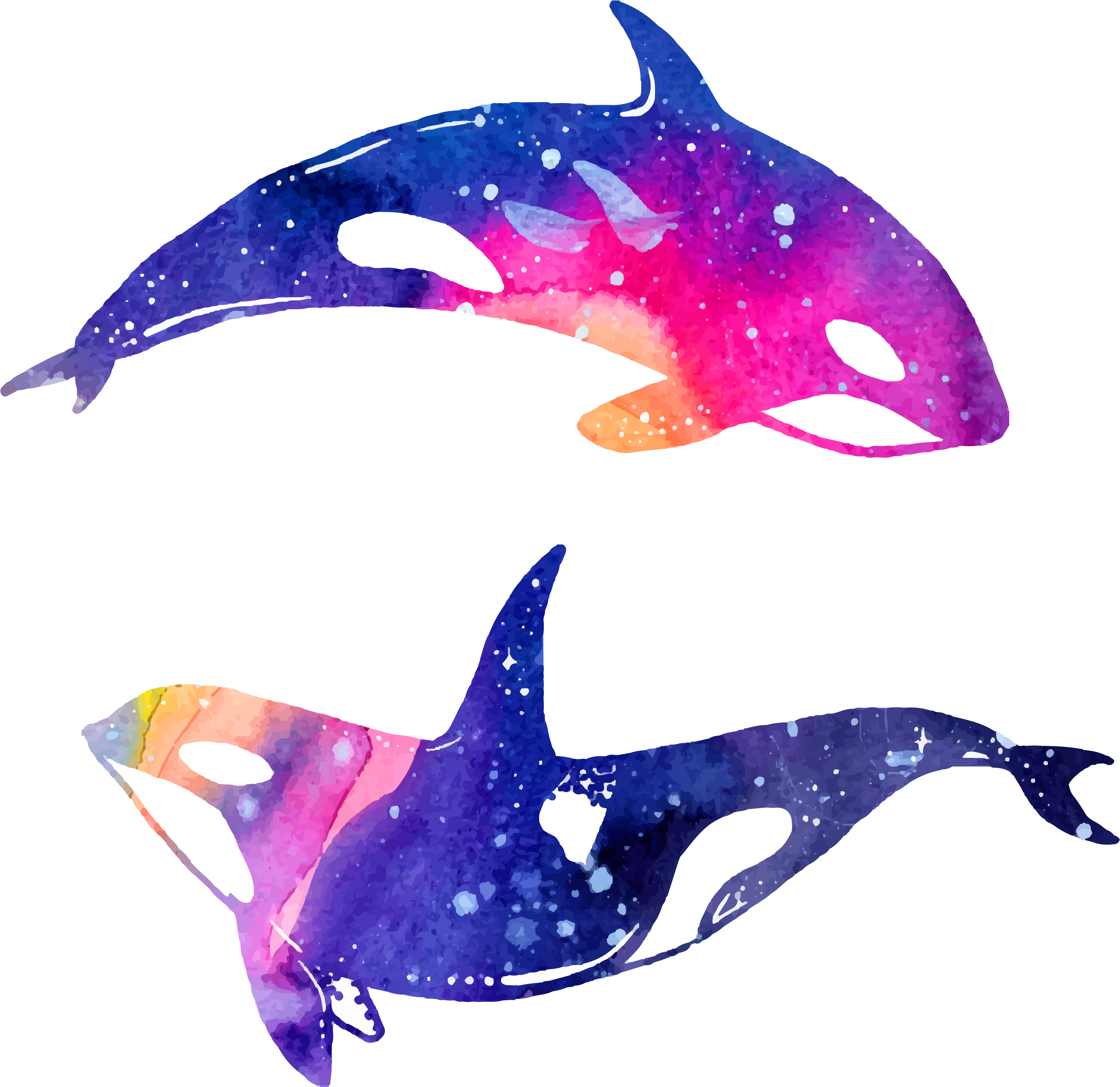 dolphins 桌布 壁紙 — 兩條虎鯨在黑色背景上優雅地游動，牠們的身體塗滿了充滿活力的宇宙星雲色彩和星點。
