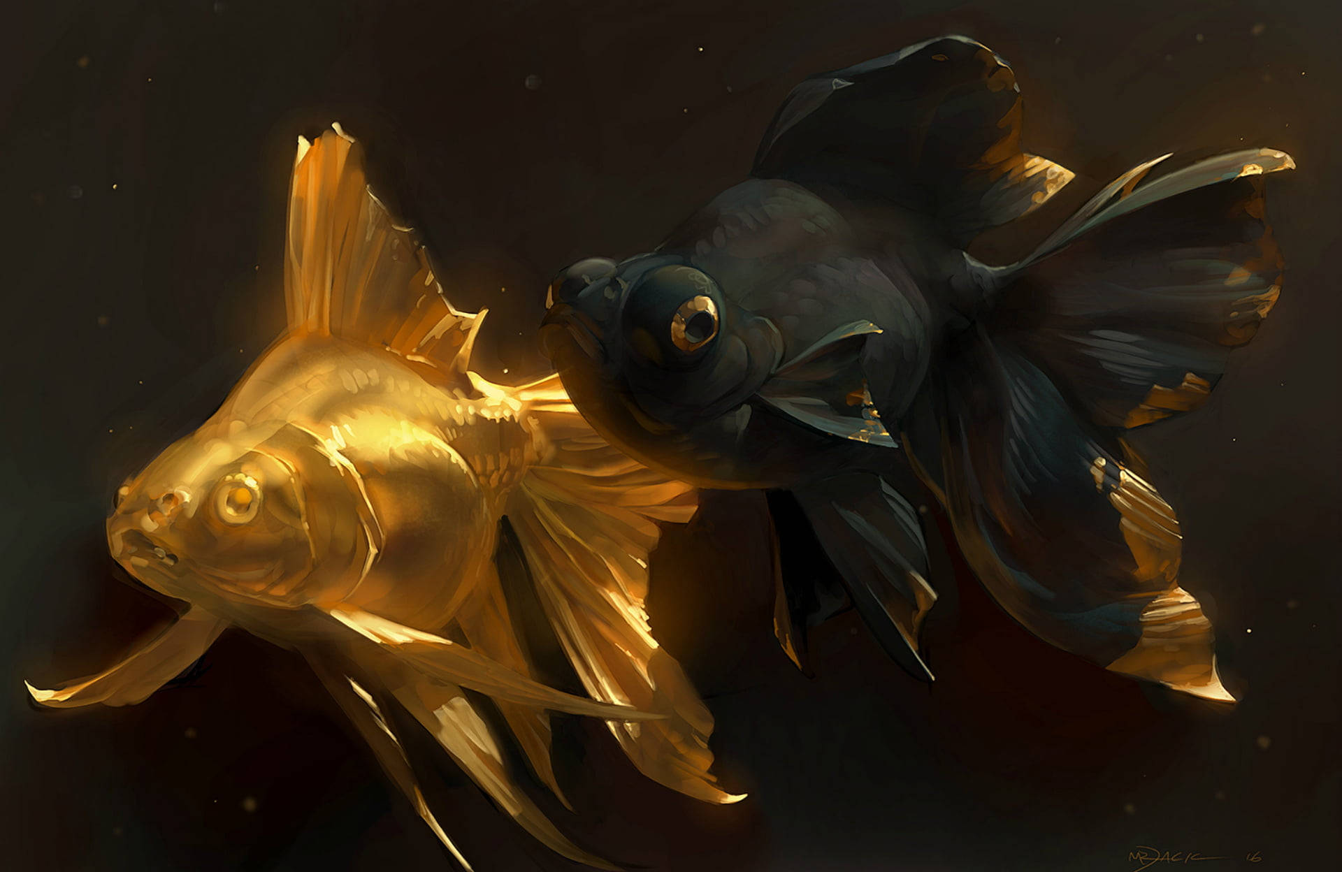koi 桌布 壁紙 — 兩條觀賞金魚，一條閃耀金色，另一條深黑色，在黑暗背景下優雅游動，柔和光線突顯牠們流動的魚鰭。