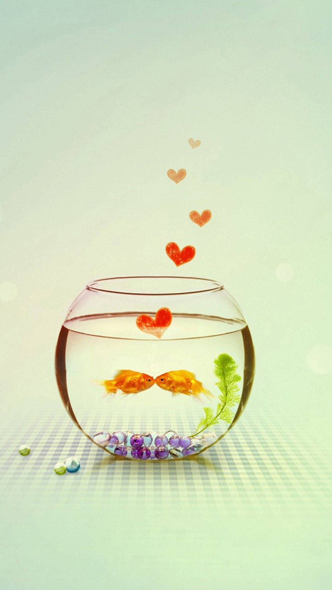 Goldfish 桌布 壁紙 — 兩條金魚在一個圓碗中面對面，漂浮的心形在水面上方升起。