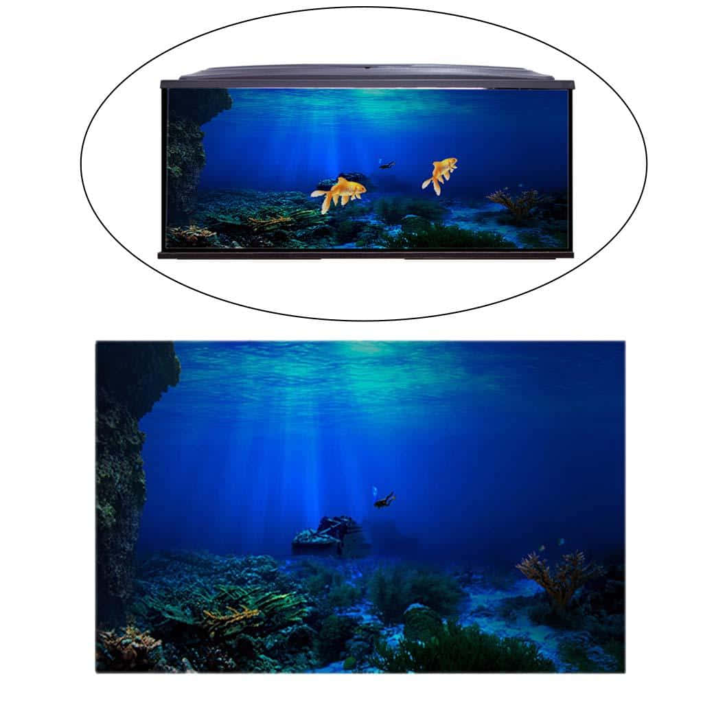 Best Fish 桌布 壁紙 — 兩條金魚在充滿活力的藍色水下場景中優雅地游動，場景中有珊瑚和穿過水面的陽光。