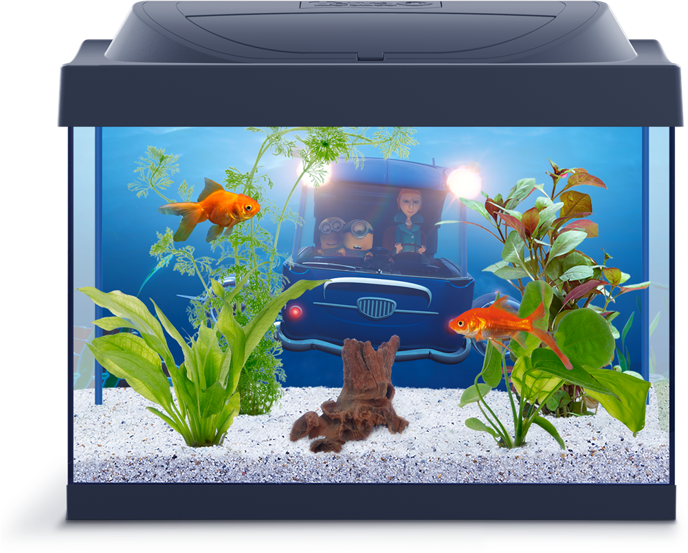 Aquarium 桌布 壁紙 — 兩條金魚在魚缸中茂盛的綠色植物間游動，背景裝飾有卡通車和小小兵。