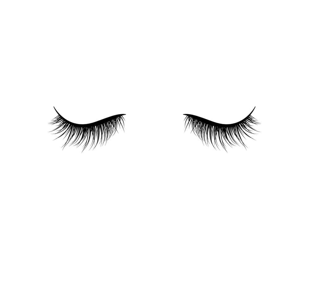 Eyelash 桌布 壁紙 — 兩條閉合的眼睫毛，帶有長長的深色睫毛，襯托在純白背景上。