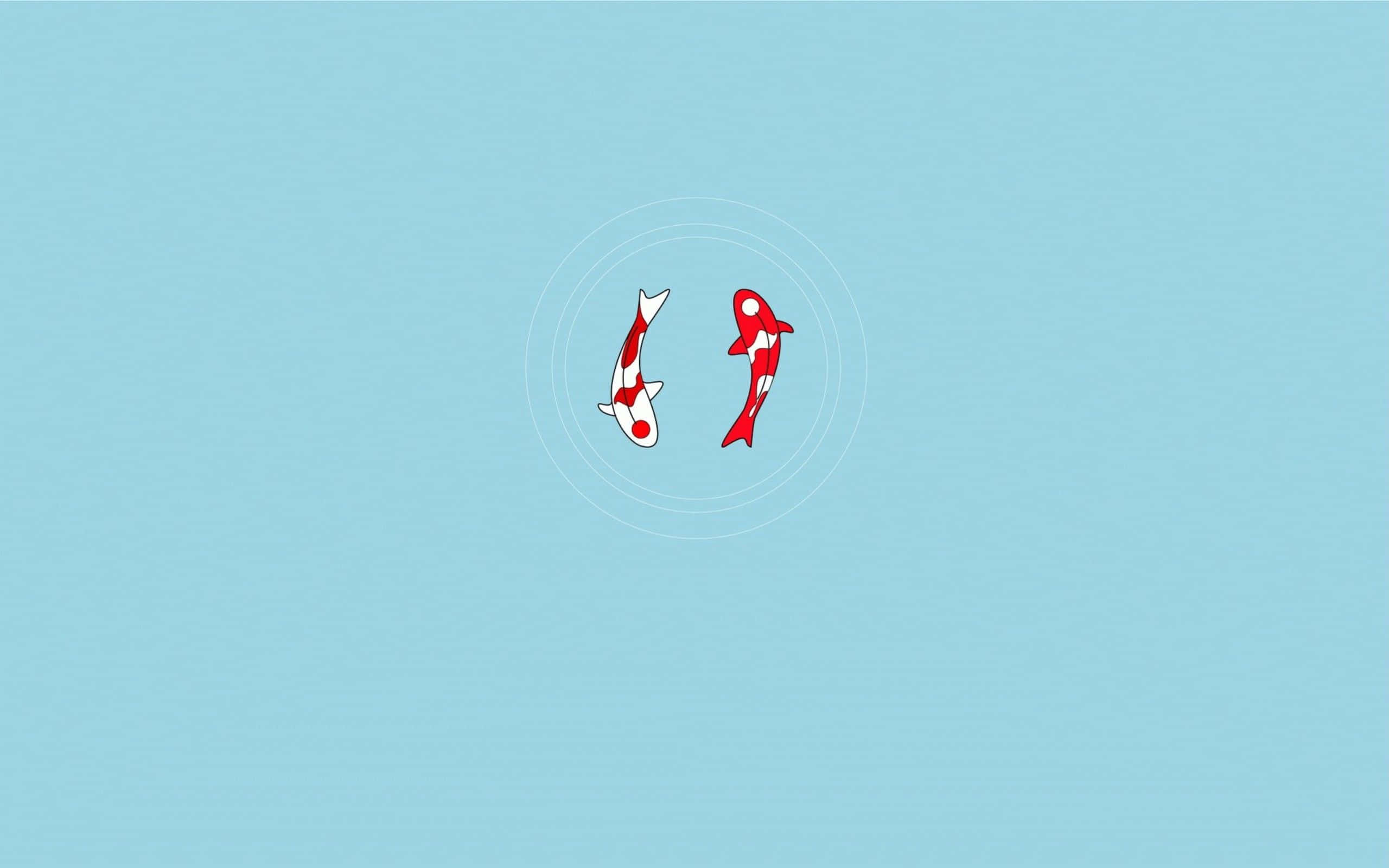Minimal Art 桌布 壁紙 — 兩條風格化的紅白錦鯉在柔和的藍色背景上以同心圓游動。